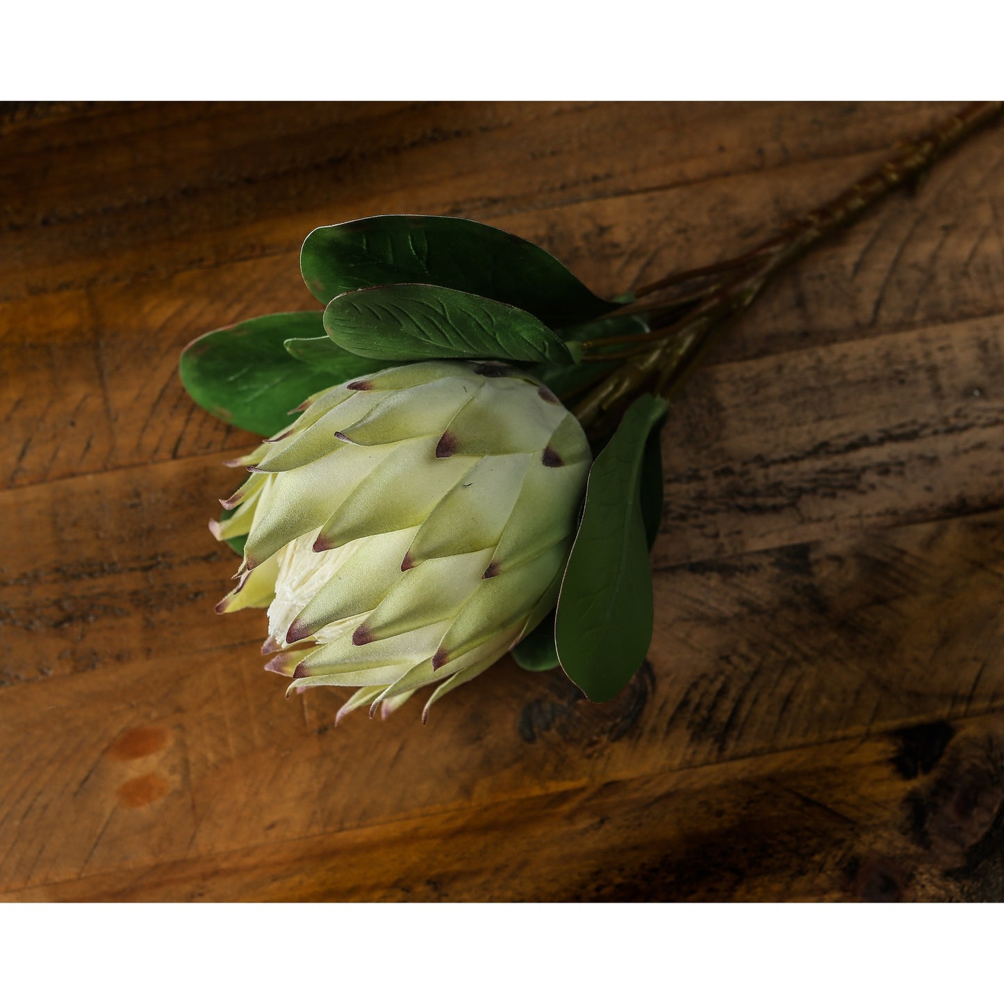 Large white protea with detailed, lifelike petals and rich green leaves, set against a wooden background.