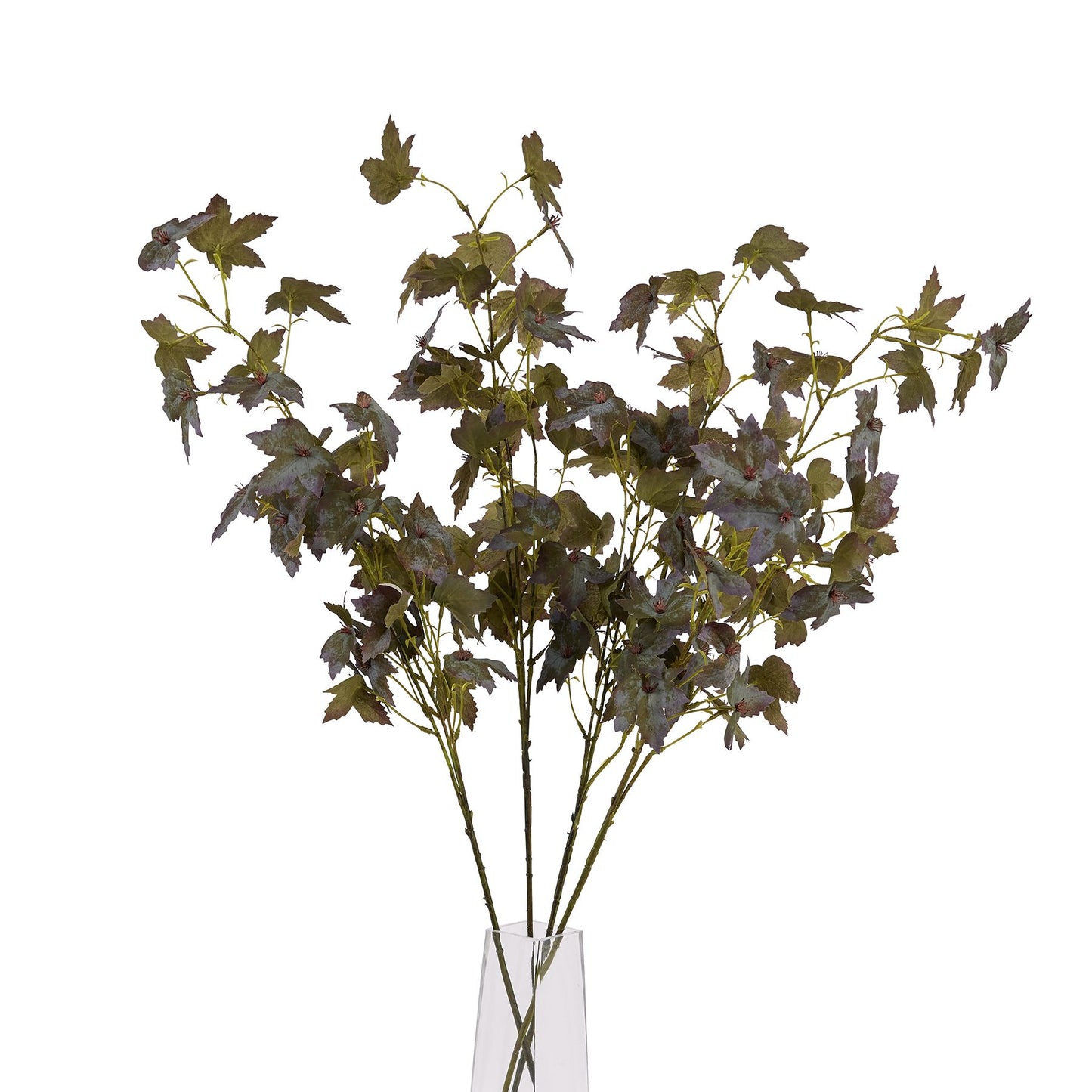 Variegated maple leaves in lush green, amber, and burgundy hues, elegantly arranged on delicate stems for autumn décor.