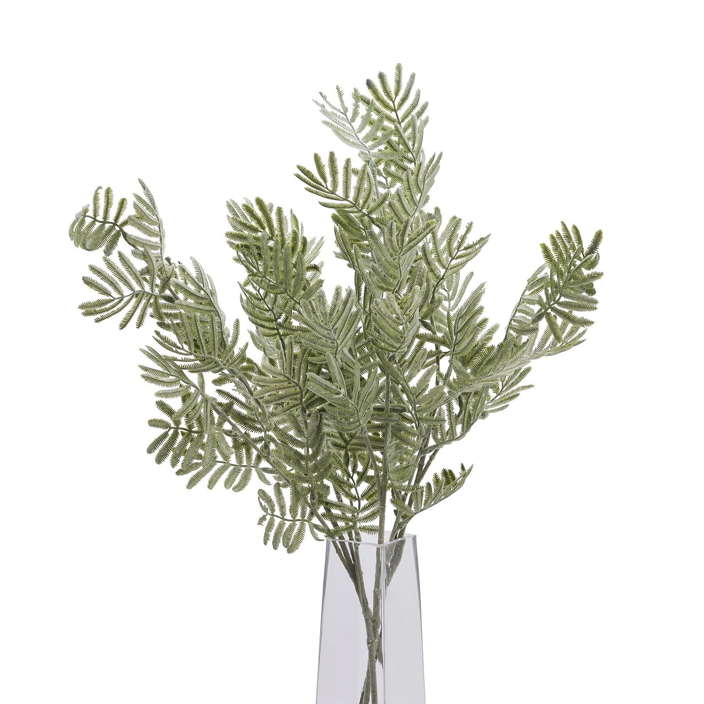 Silver Wattle Leaf - Festive Flowers & Foliage from the Quanta Home collection.