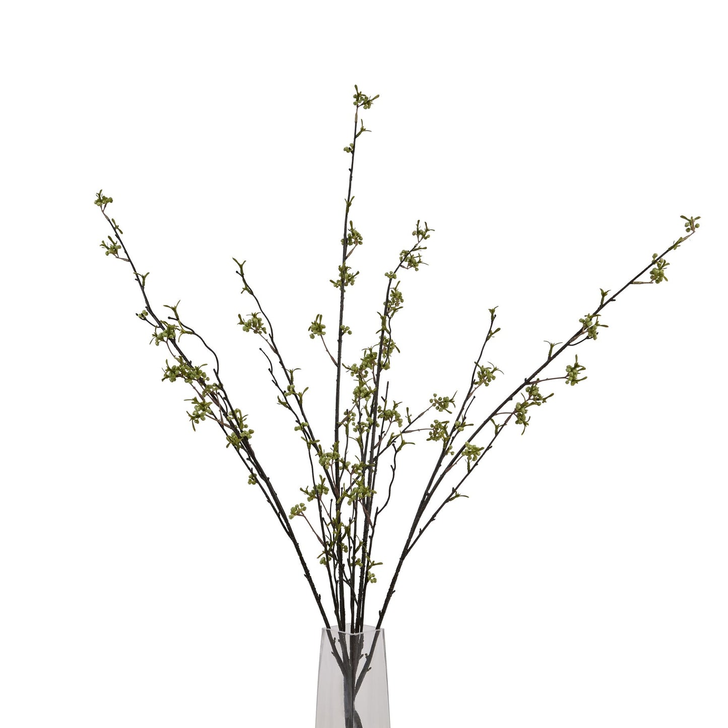 Elegant green berry willow stem with realistic branches and delicate green buds, displayed in a clear vase against a white background.