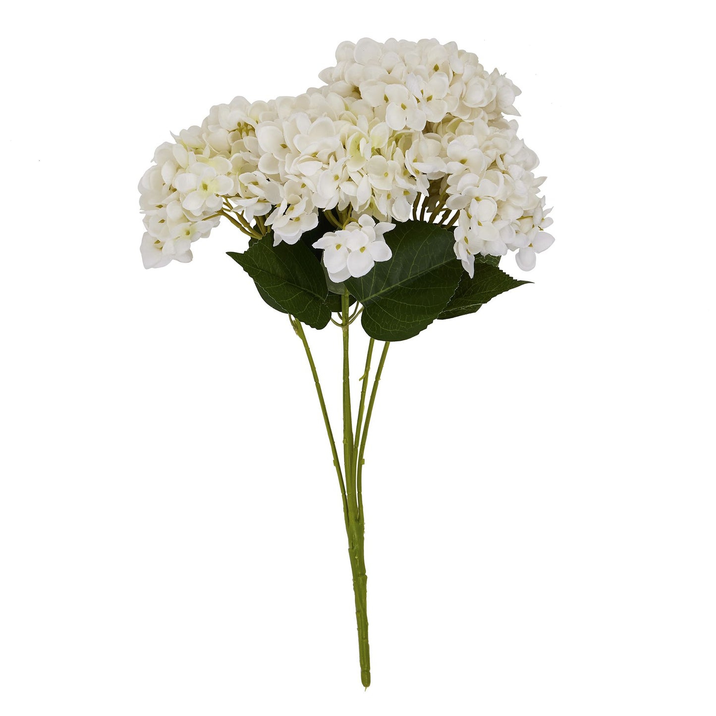 Pristine white hydrangea bunch with delicate petals and lush green leaves, adding timeless elegance to any decor.
