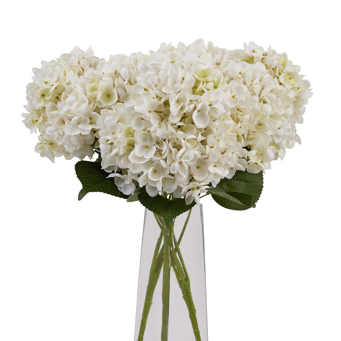 Luxurious white hydrangea bunch with intricate petals and green leaves, beautifully arranged in a sleek vase.