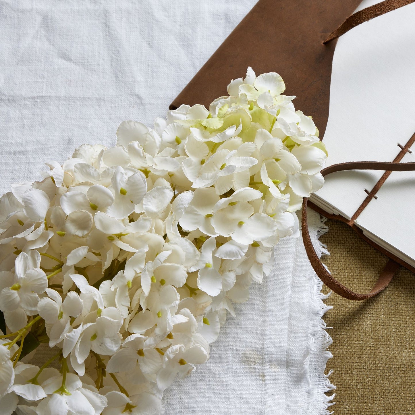 White spear hydrangea with a pointed silhouette, adorned with delicate off-white petals, set on a textured background, enhancing sophistication.