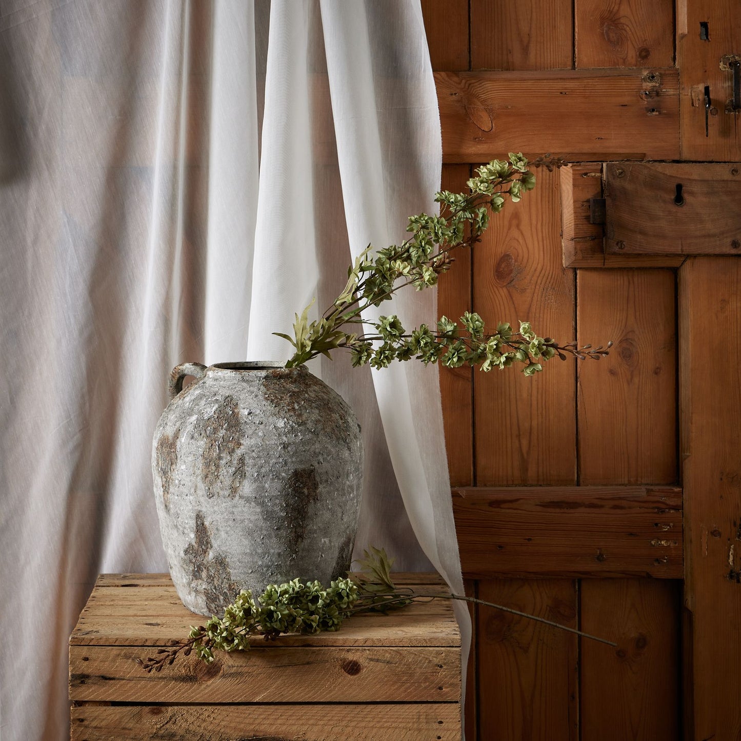 Tall green hops stem in a rustic vase, enhancing natural textures against a wooden backdrop and sheer fabric.