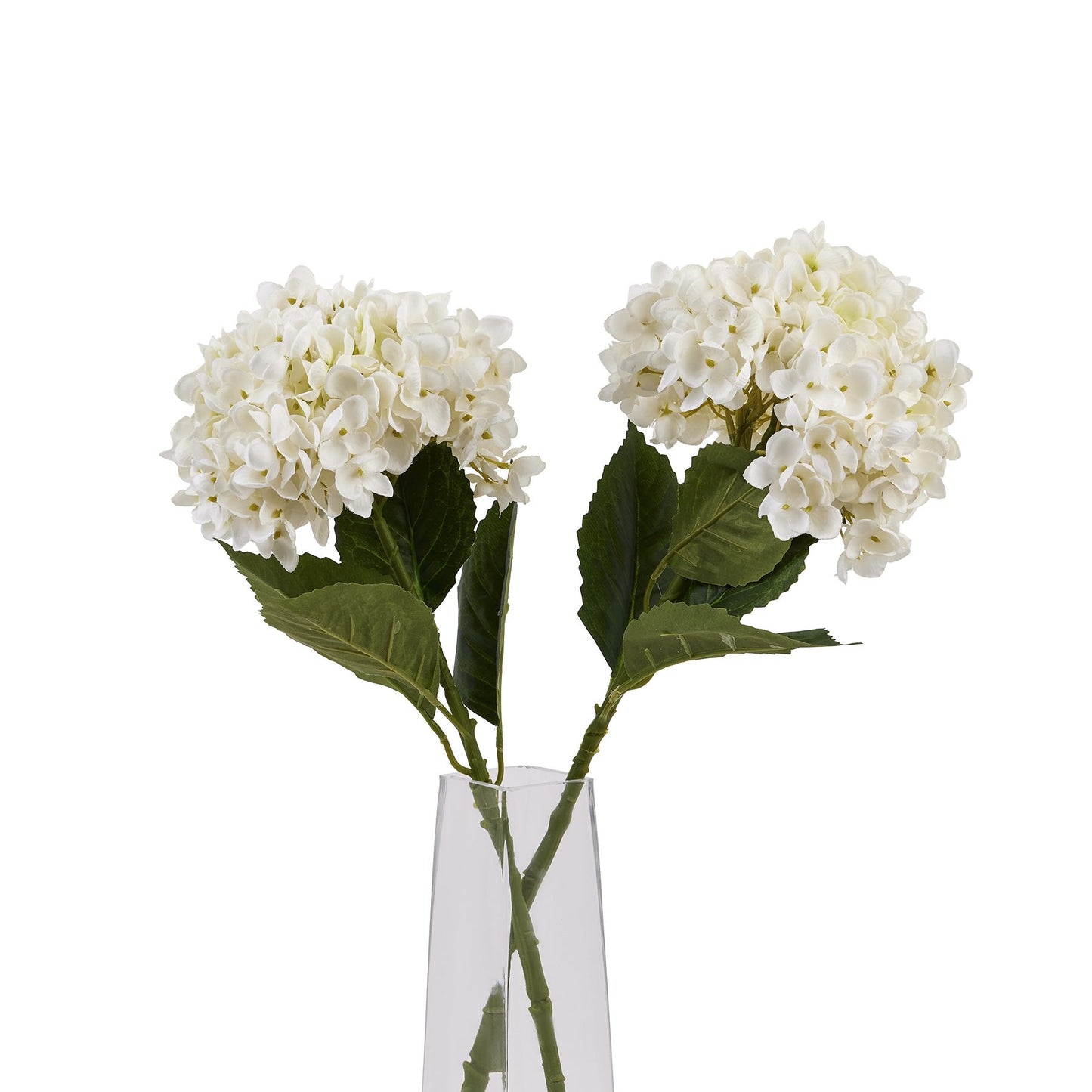 White hydrangea stem with dense, delicate petals and green leaves, elegantly displayed in a clear vase. Perfect for sophisticated decor.
