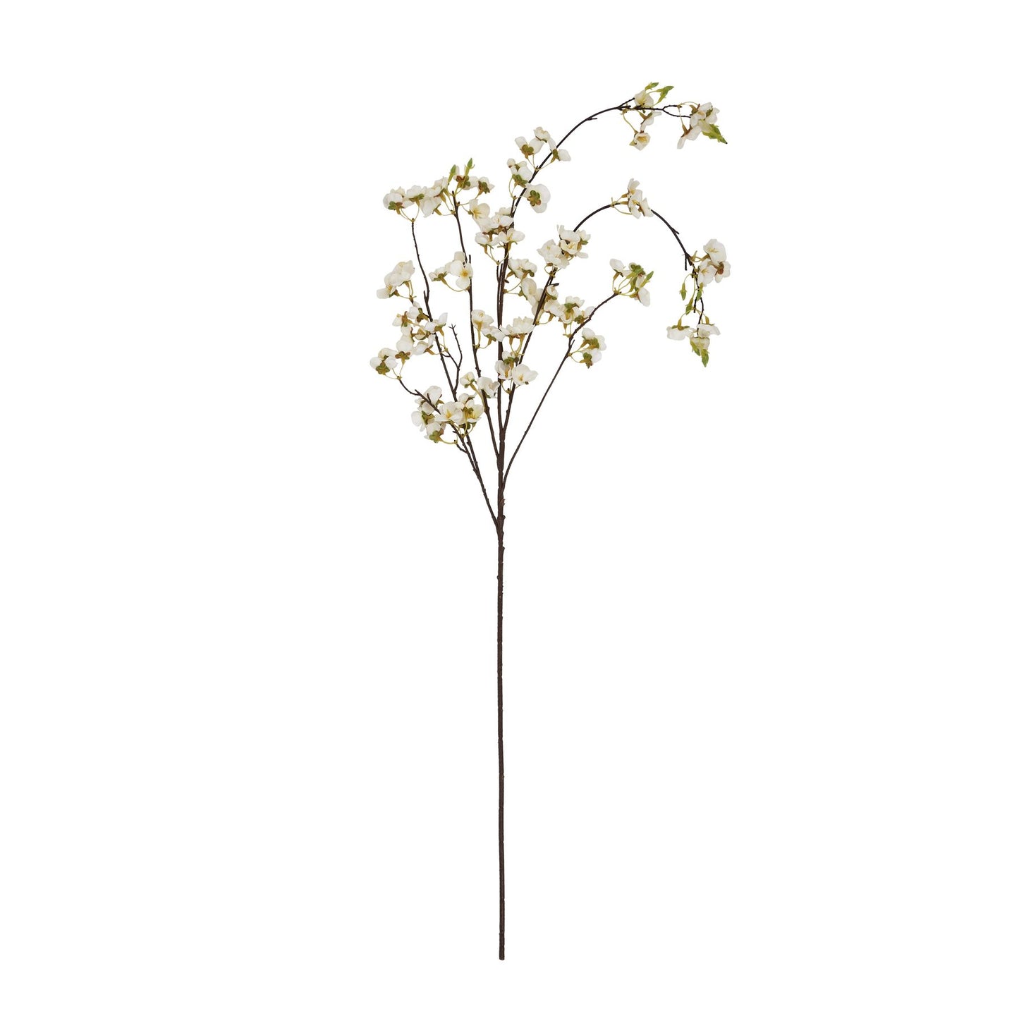 Delicate white Japanese blossoms on elegant branches, perfect for serene home decor and versatile floral arrangements.