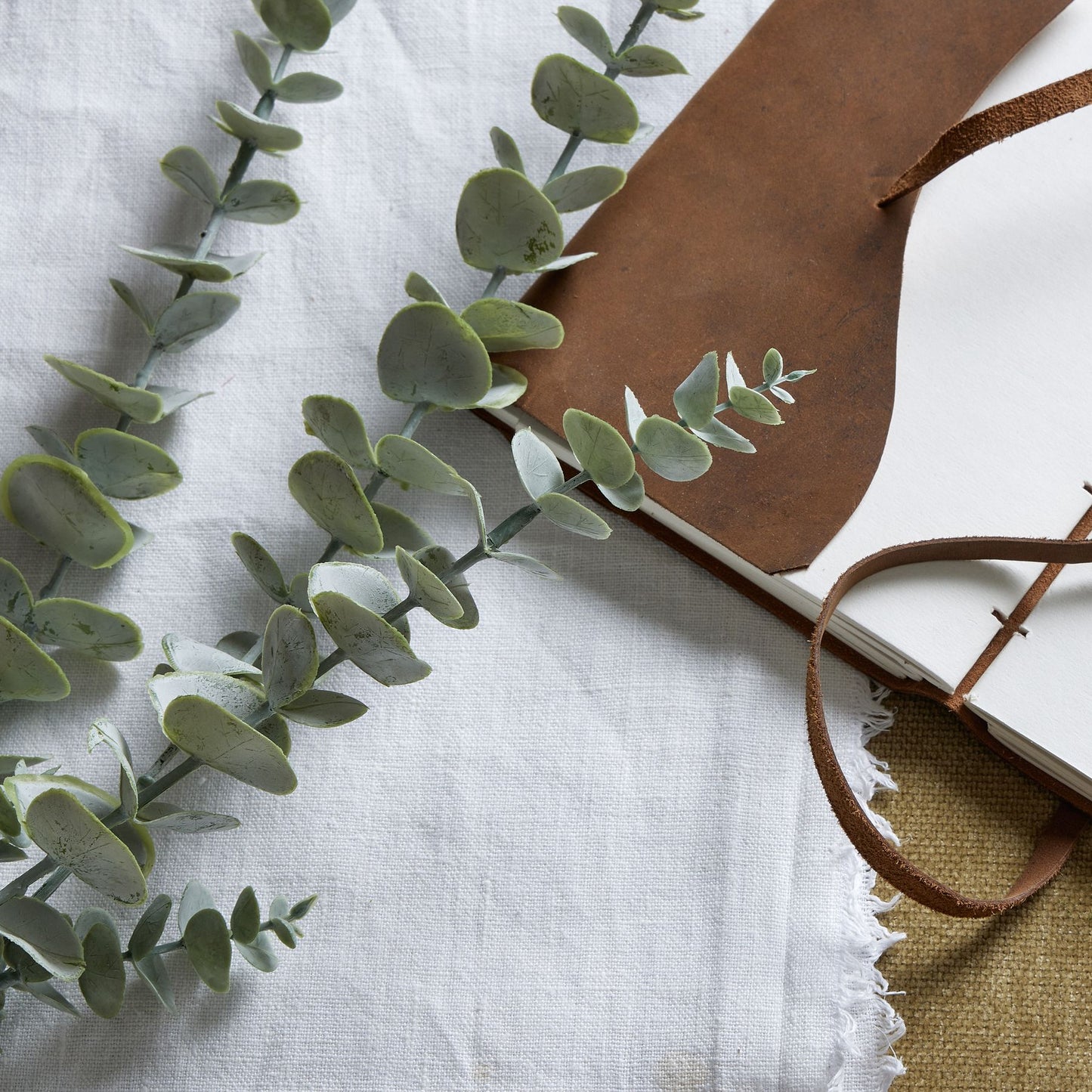 Eucalyptus spray with silver-tinted leaves in an ethereal blue hue, paired with a brown leather notebook on a white linen background.