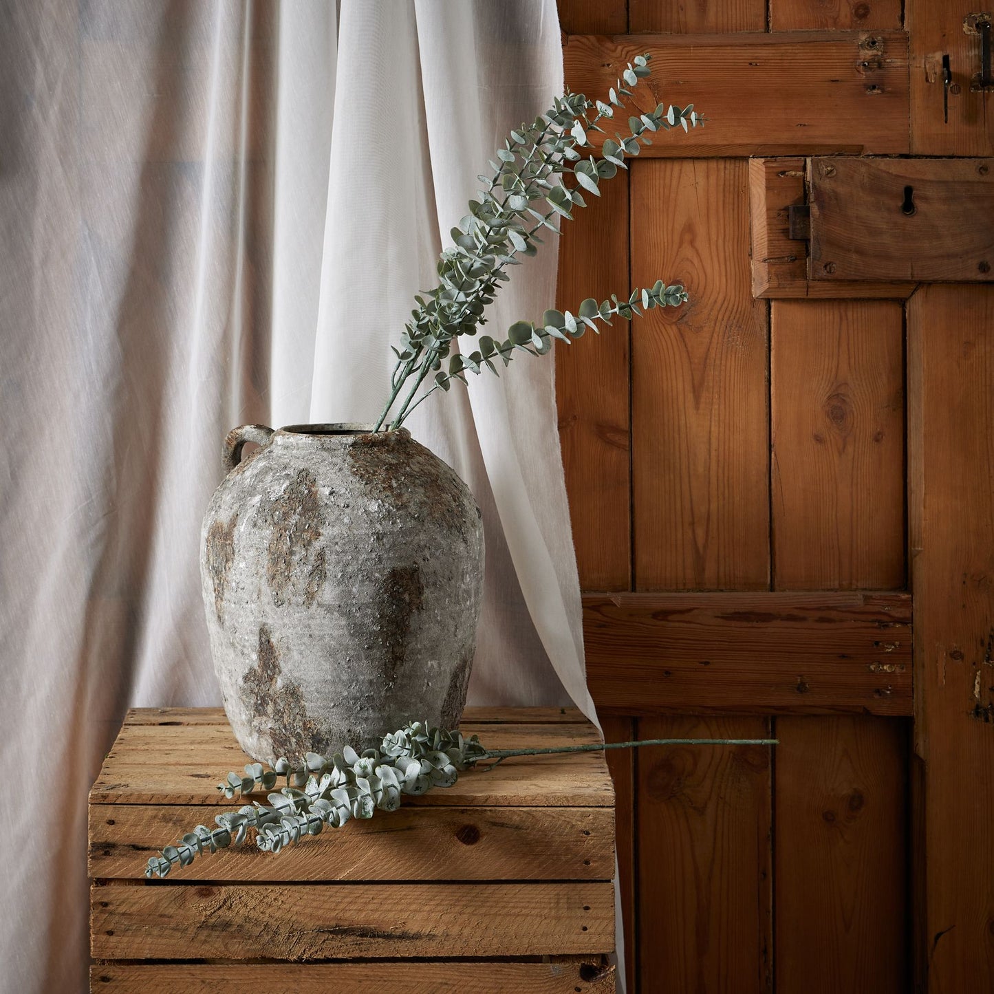 Elegant Gunnii Blue Eucalyptus Spray in a rustic vase, featuring delicate silver-tinted foliage against a warm wooden backdrop.