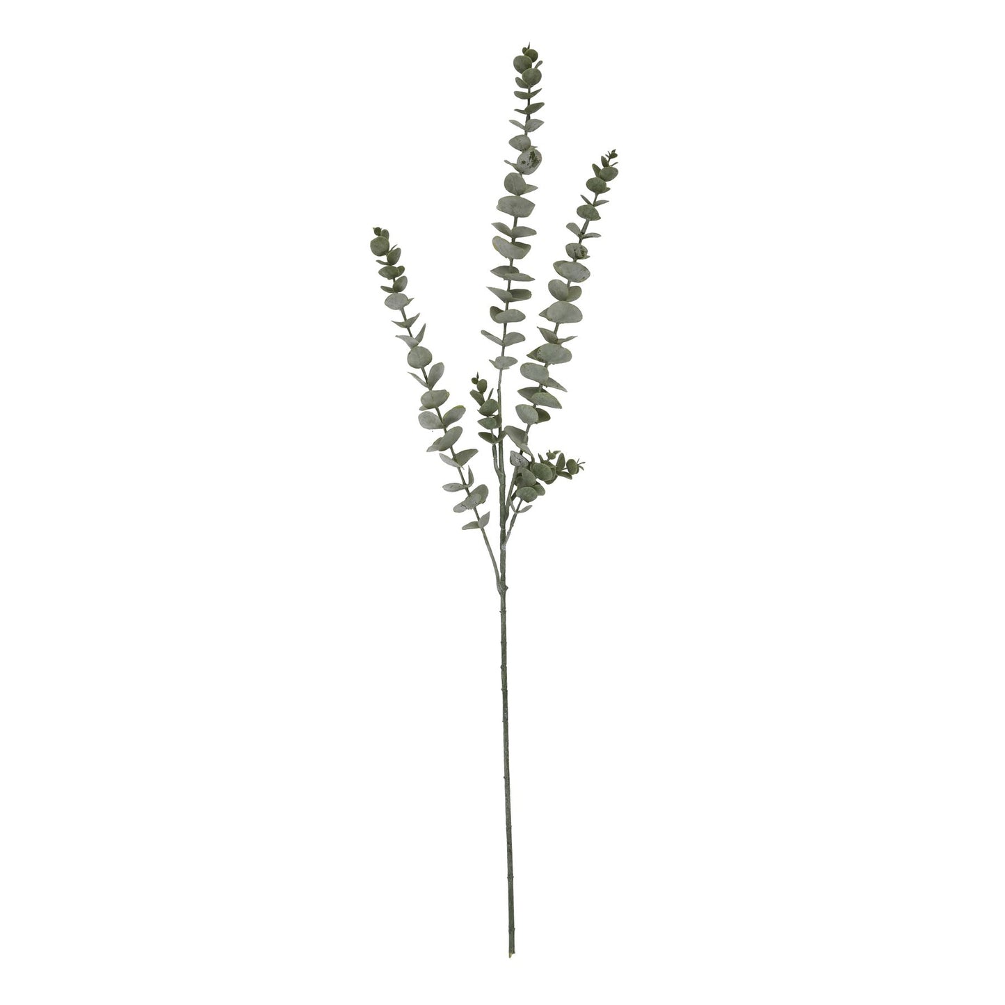 Elegant blue eucalyptus stem featuring silver-tinted foliage and meticulously crafted leaves, perfect for sophisticated décor.