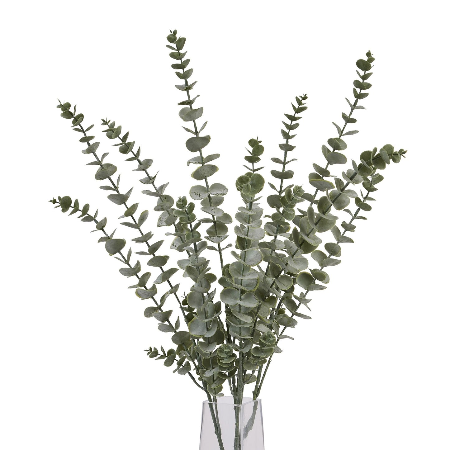 Silver-tinted eucalyptus spray featuring meticulously crafted leaves in soft green hues, perfect for elegant arrangements.