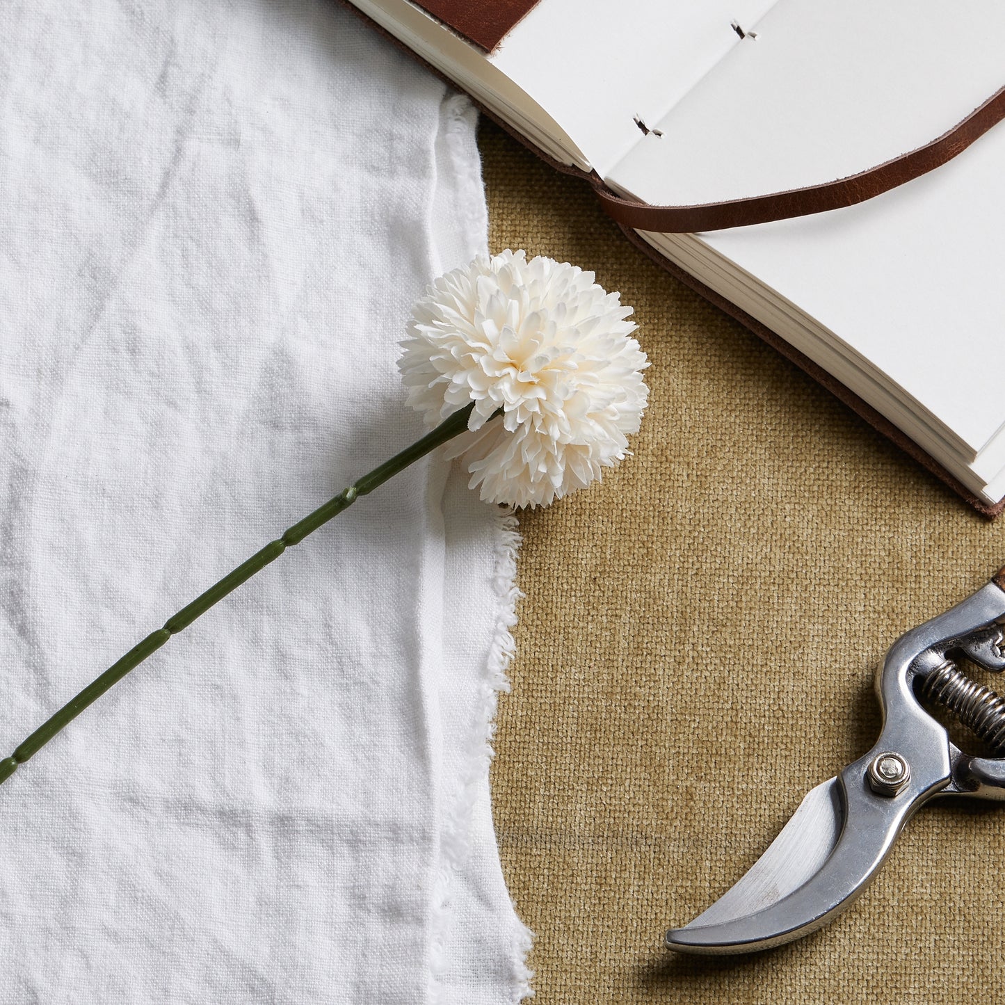 White short chrysanthemum with lifelike petals on a textured background, accompanied by a notebook and garden shears.