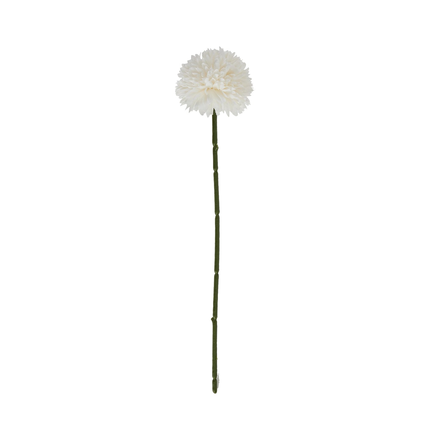 Elegant white short chrysanthemum with lifelike petals on a green stem, measuring 65cm, perfect for sophisticated decor.