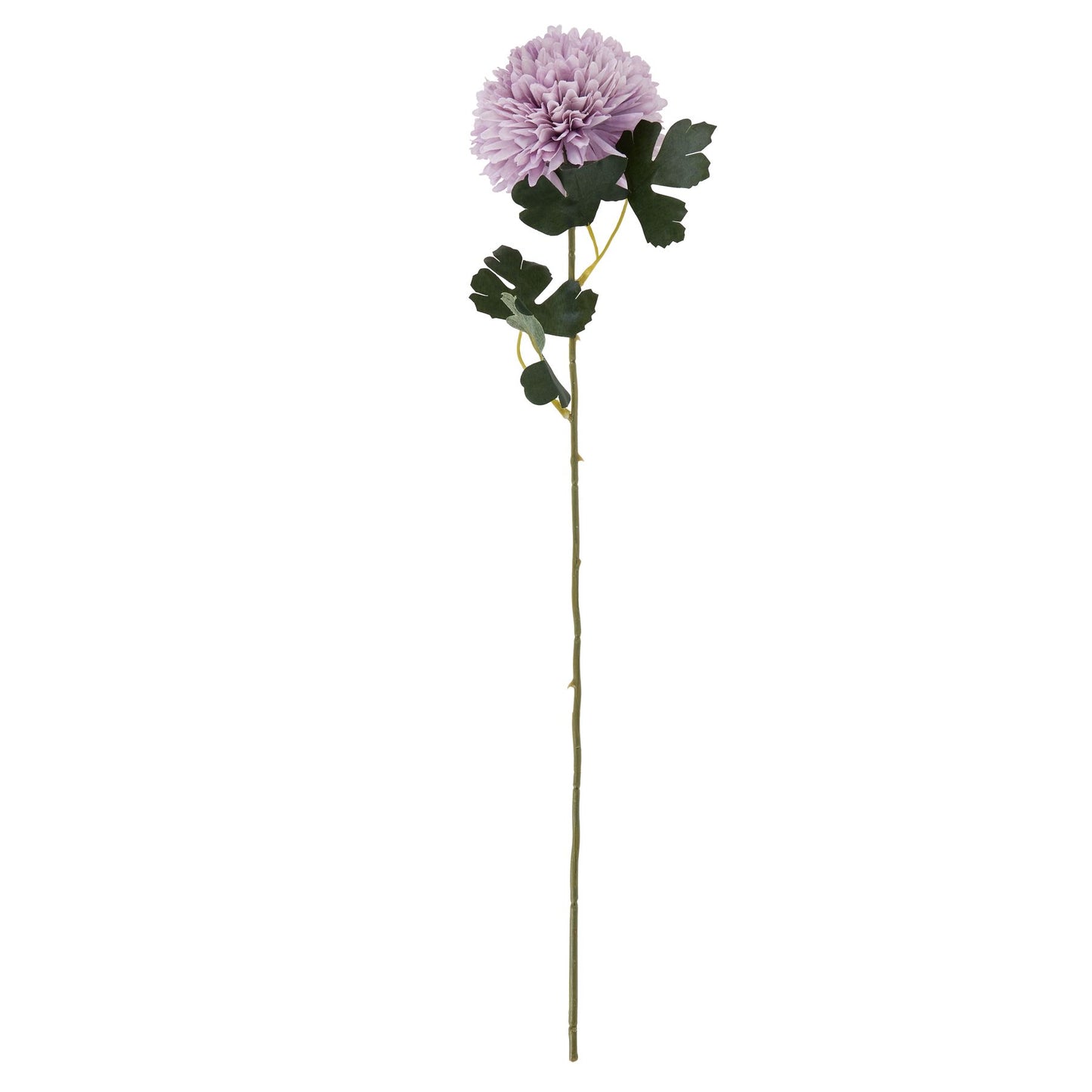 Light purple chrysanthemum with intricate layered petals on a long stem, accompanied by green foliage for an elegant touch.