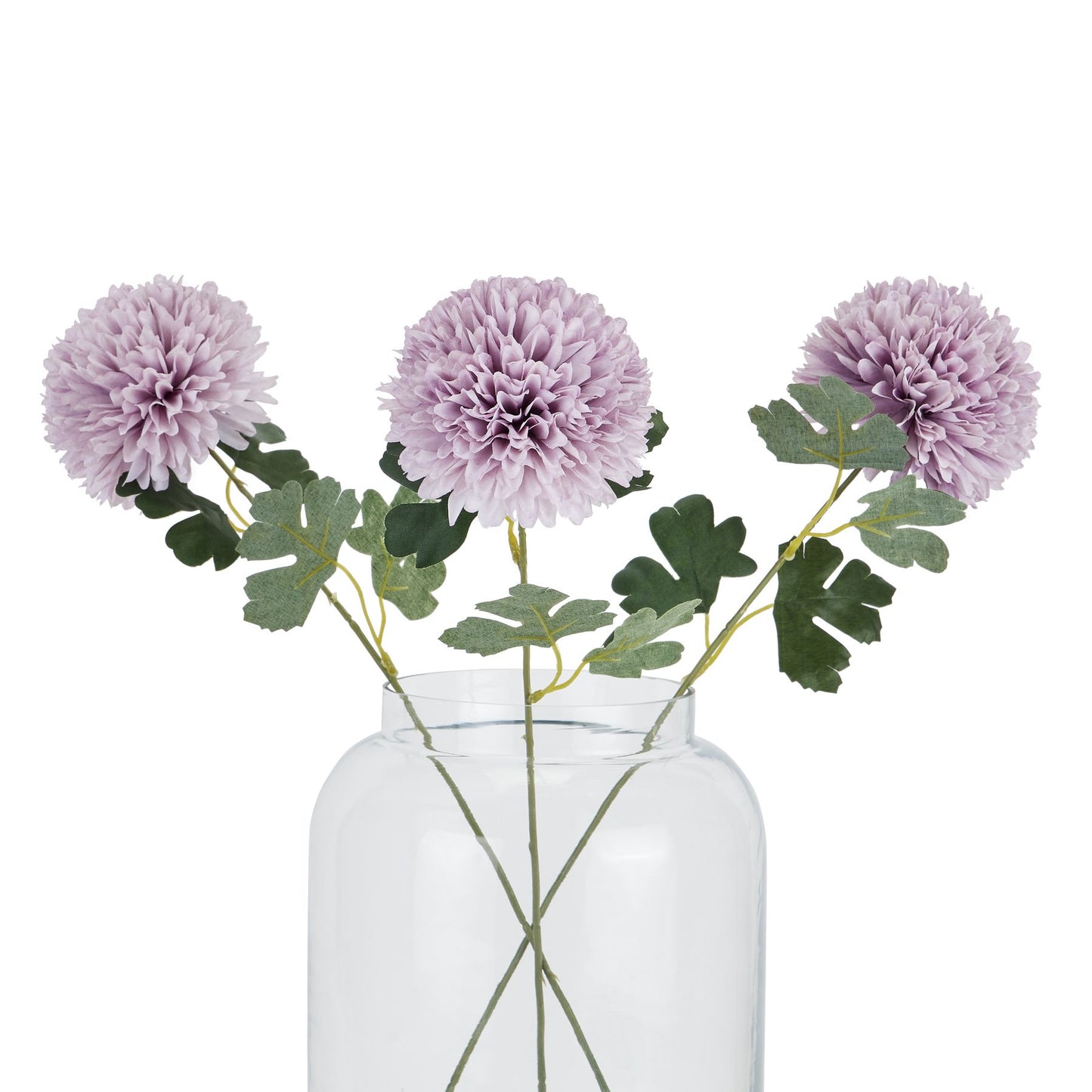 Light purple chrysanthemum in a clear vase, featuring layered petals and green leaves, adding elegance to any decor.