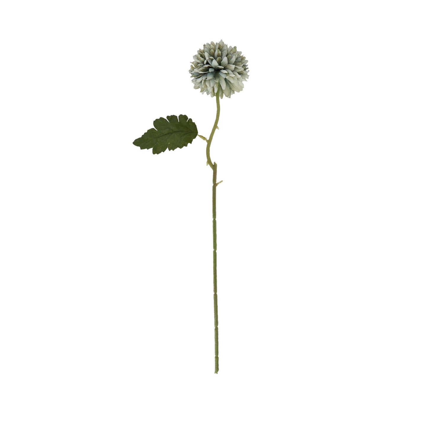 Pale green-blue short chrysanthemum stem with layered petals and a single leaf, ideal for elegant home decor.