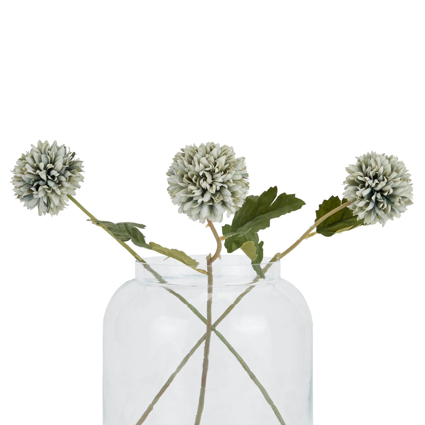 Pale green-blue short chrysanthemum with layered petals, complemented by green leaves, arranged in a clear vase.