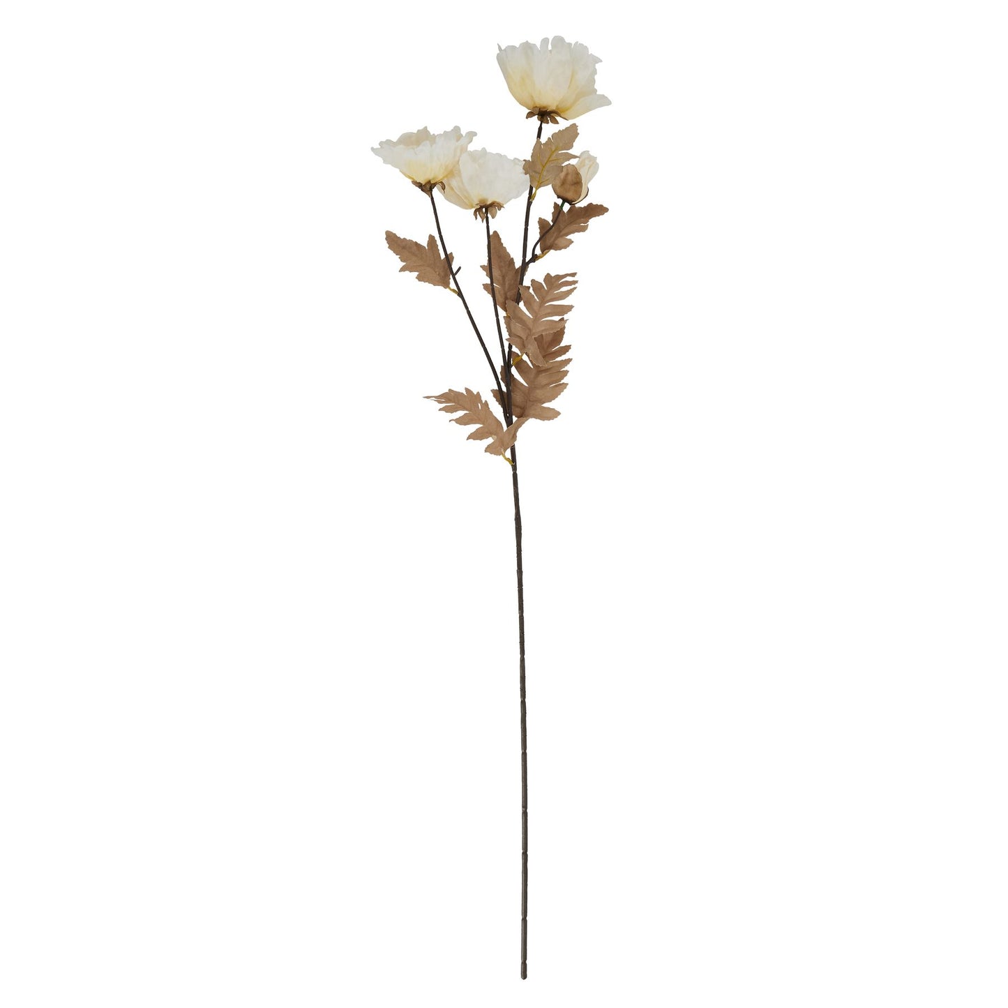 Large white poppy stem featuring elegant off-white blooms and subtle coffee-toned accents on a slender green-brown stem.