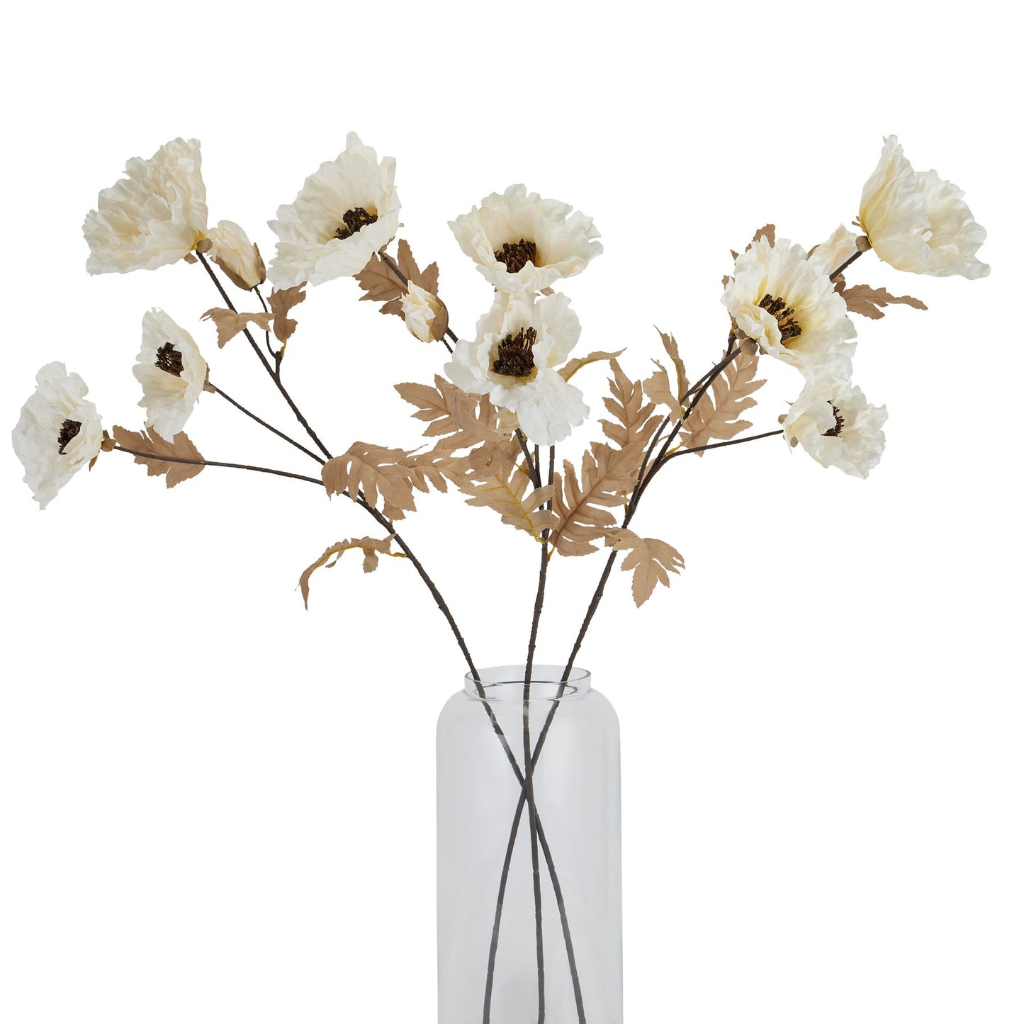 Large white poppy stems feature delicate blooms with subtle coffee accents, arranged in a clear vase showcasing natural elegance.