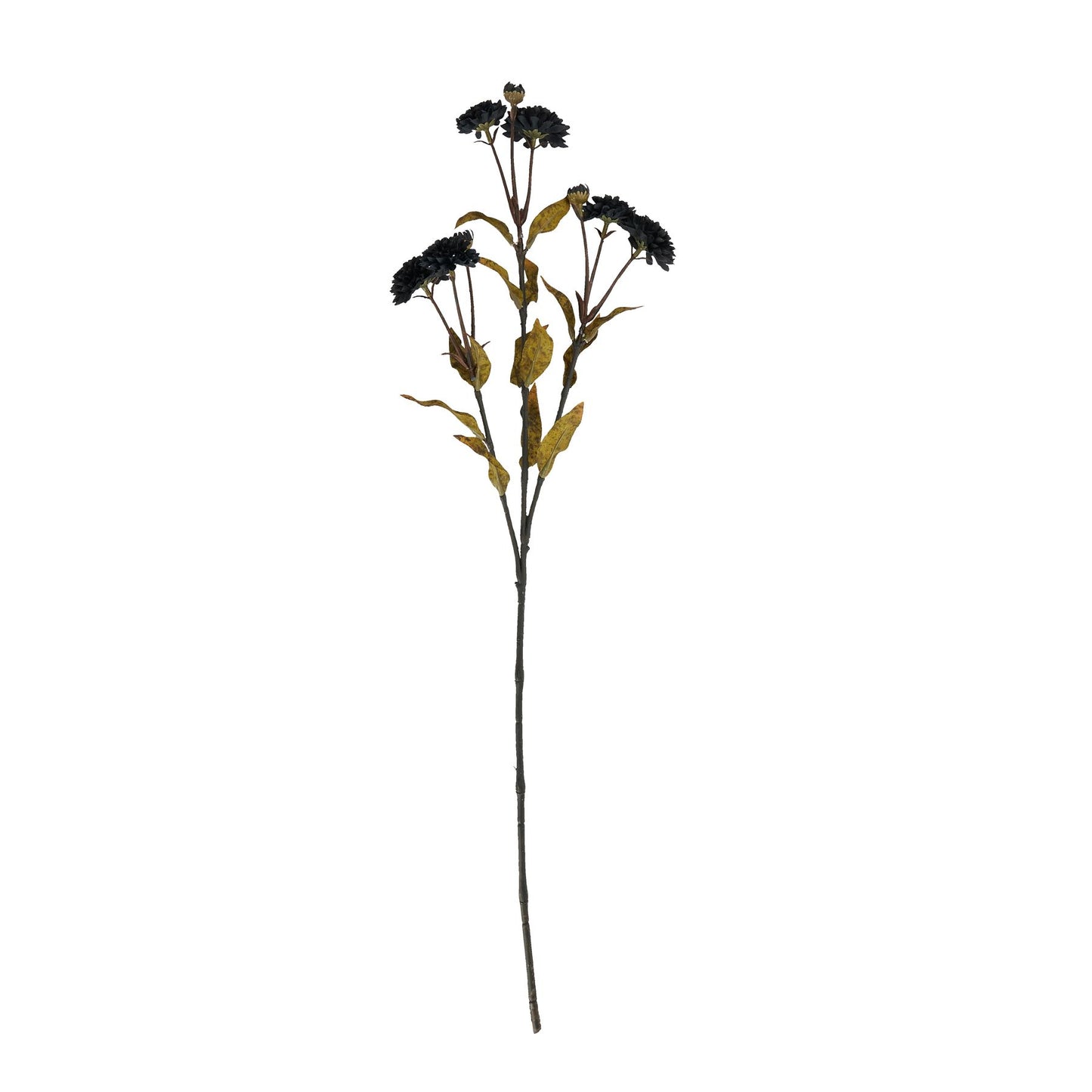 Deep black chrysanthemum stem with textured petals, complemented by subtle yellow-brown foliage, perfect for dramatic decor.
