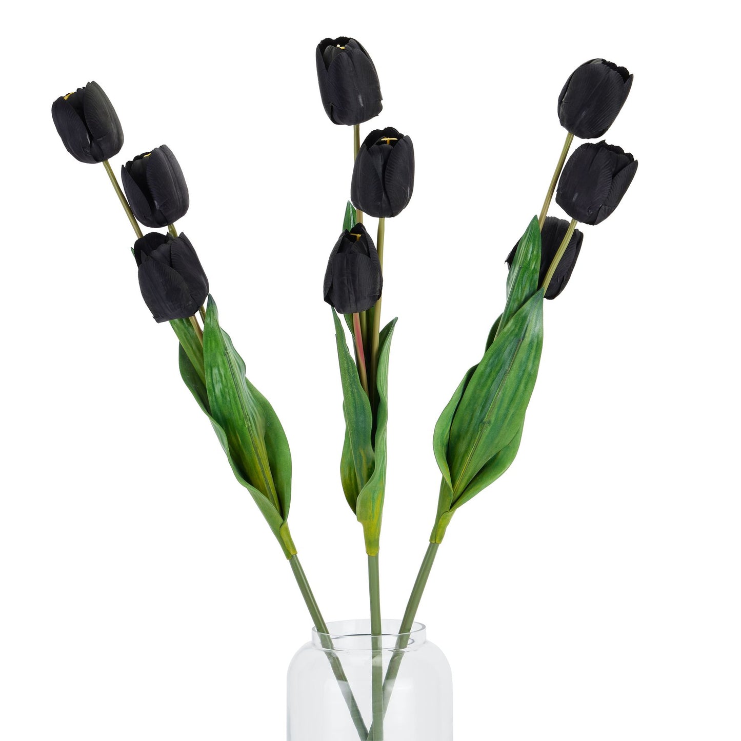Tall black triple tulip stems with lush green leaves, elegantly arranged in a transparent vase, adding modern sophistication.