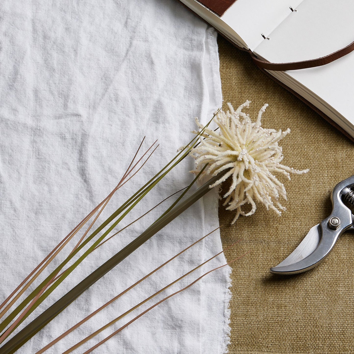 Cream Aster Spider Chrysanthemum stem with intricate layered petals, nestled among green leaves, set against textured fabrics.