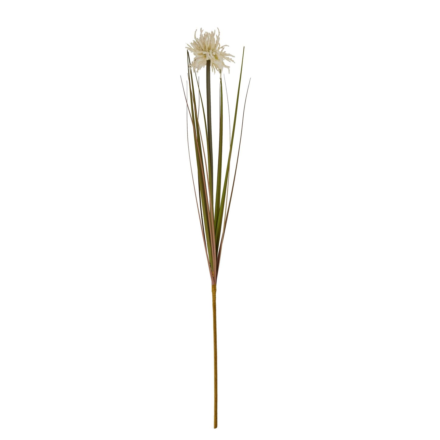 Elegant cream spider chrysanthemum stem with intricate layered petals and long green leaves, ideal for sophisticated decor.