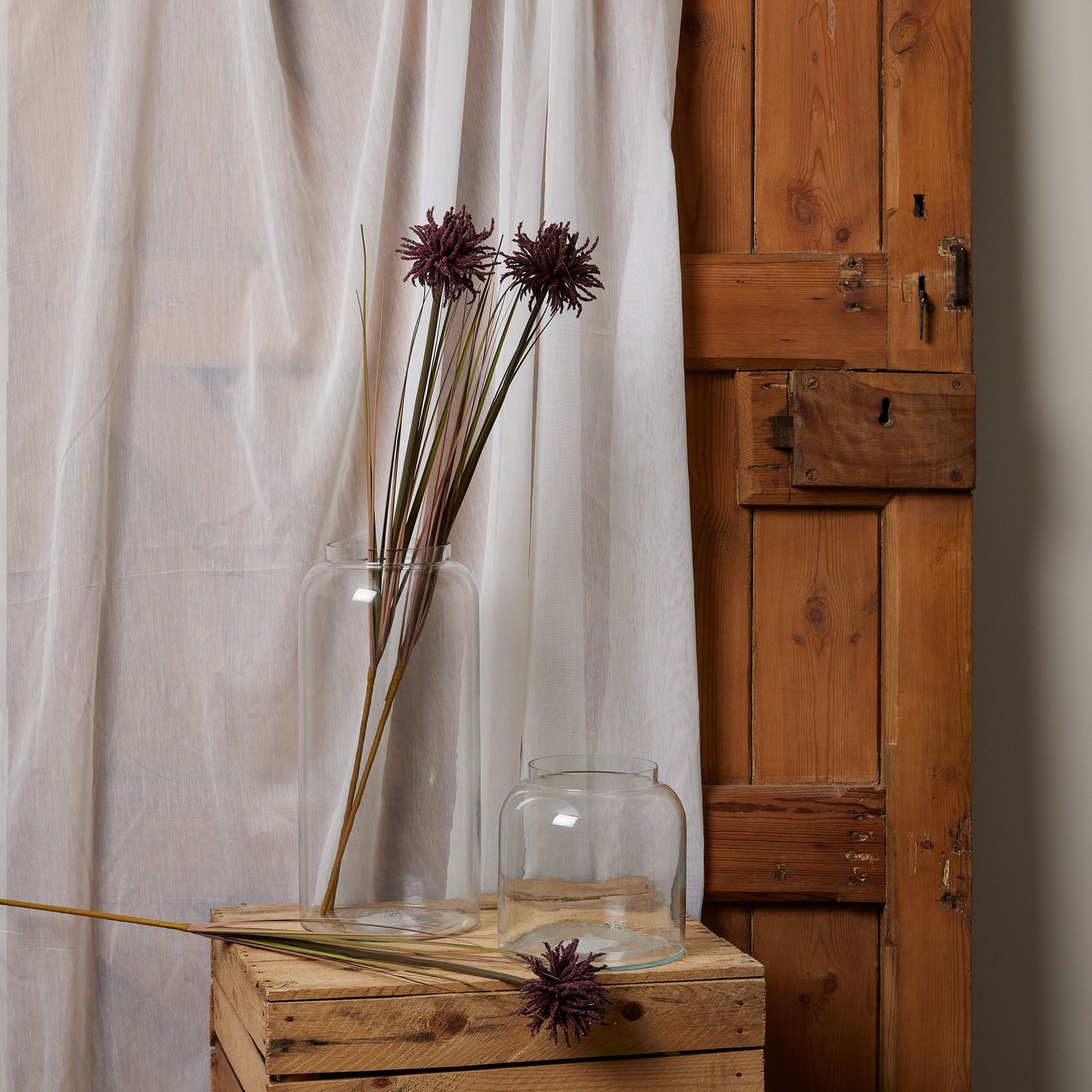 Burgundy Aster Spider Chrysanthemum stem displayed in clear vases against a rustic wooden backdrop, showcasing its rich color and intricate petals.