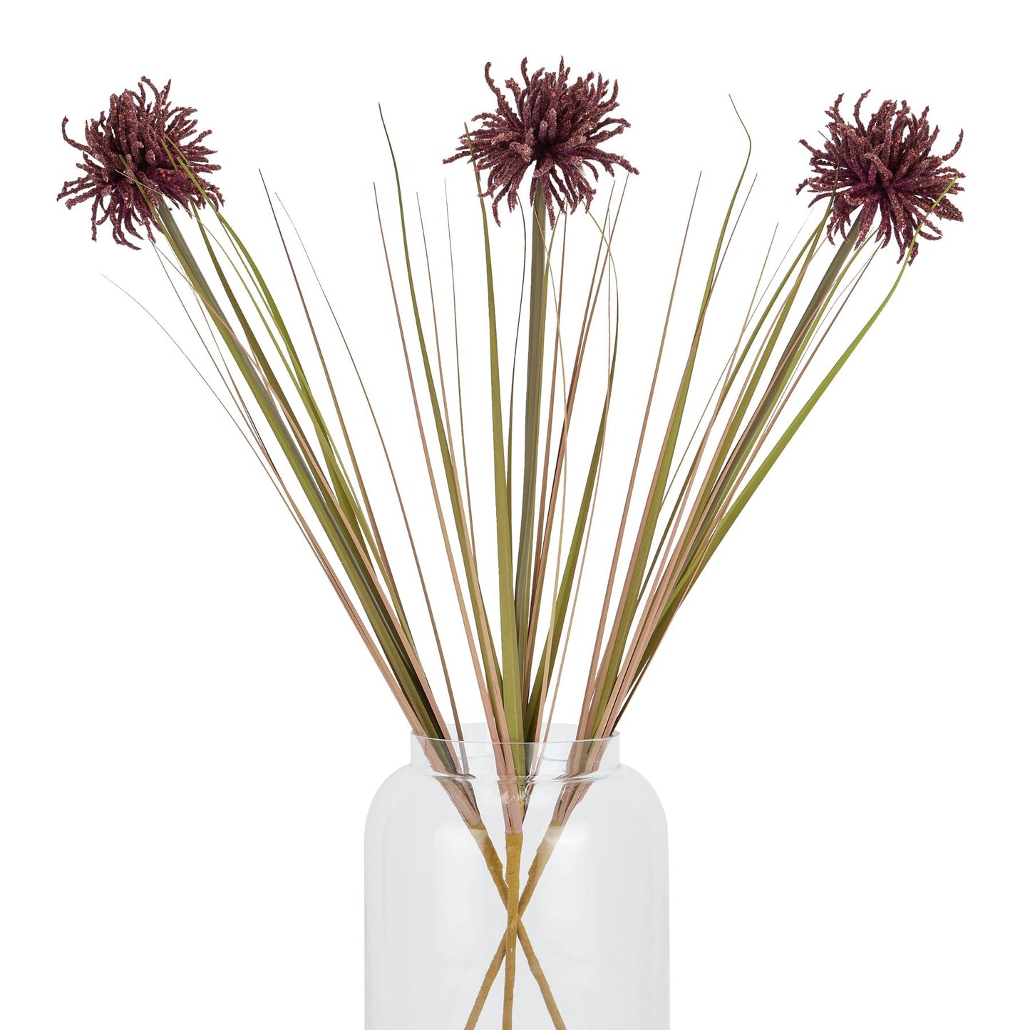 Burgundy Aster Spider Chrysanthemum stem with intricate layered petals and slender green leaves in a clear vase.