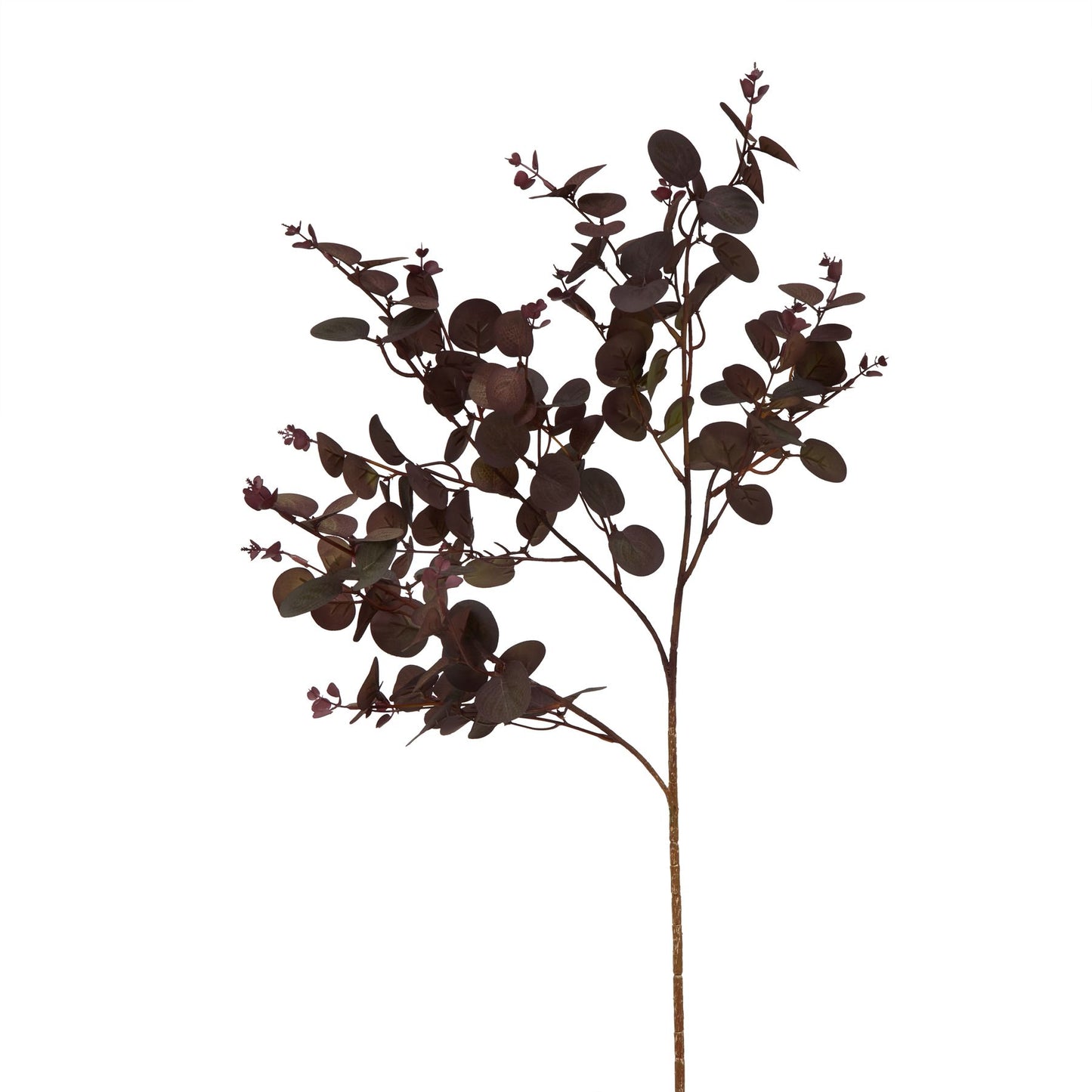 Deep burgundy eucalyptus stem with sculptural leaves, offering sophisticated elegance for seasonal displays in modern or classic spaces.