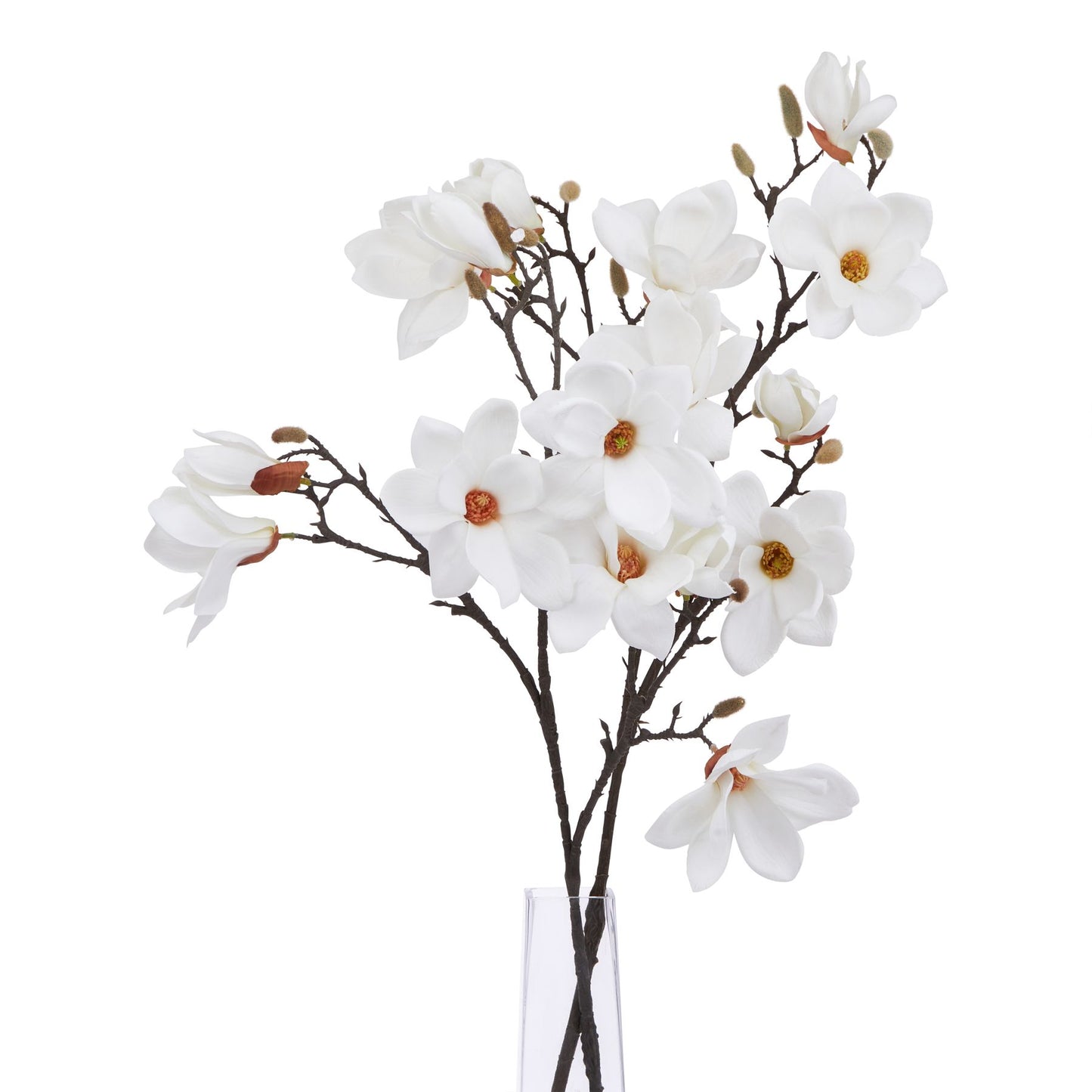 Elegant white magnolia stem featuring life-like petals and slender branches, enhancing home decor with natural beauty.