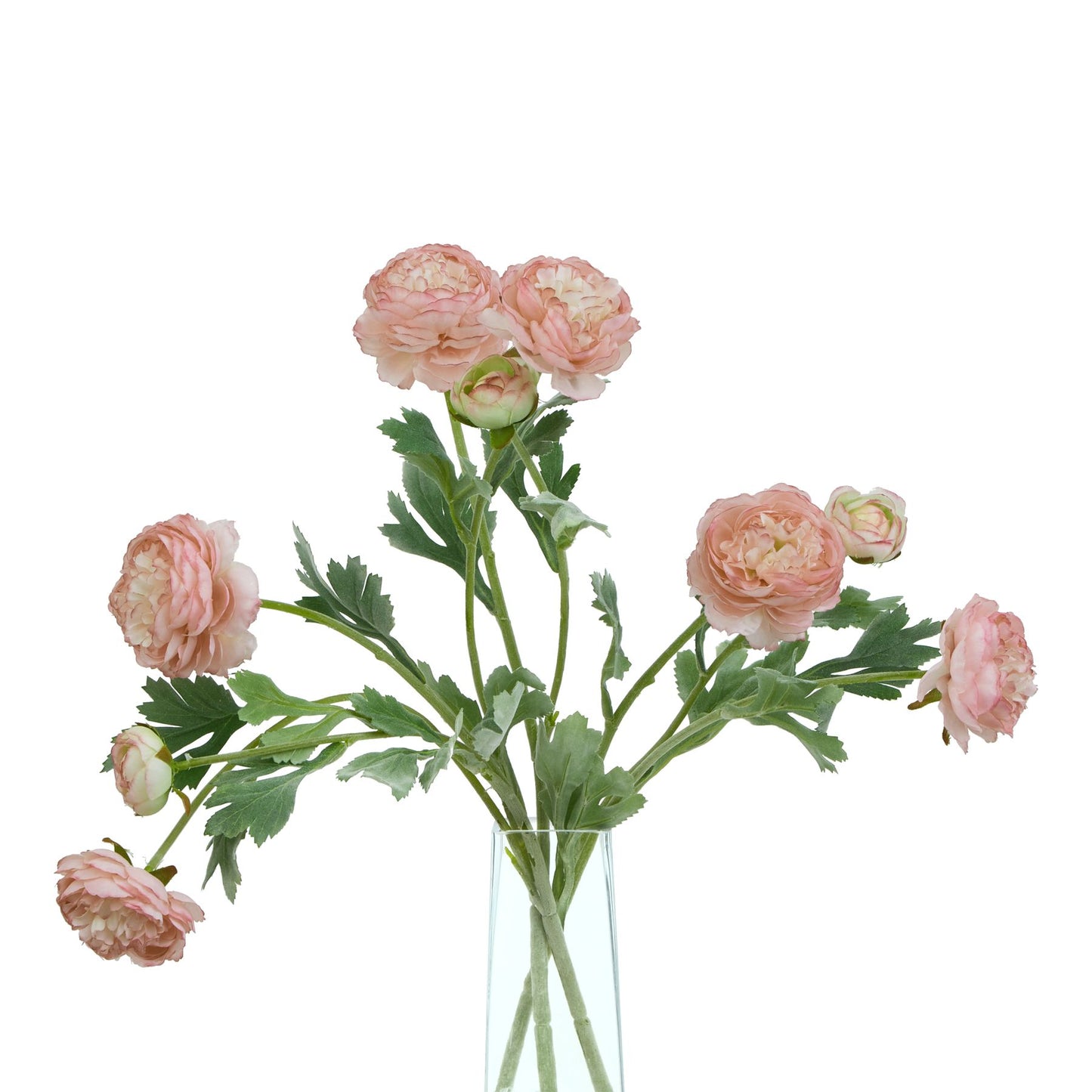Soft blush pink ranunculus flowers with lush green leaves arranged in a sleek glass vase, adding elegance to any decor.