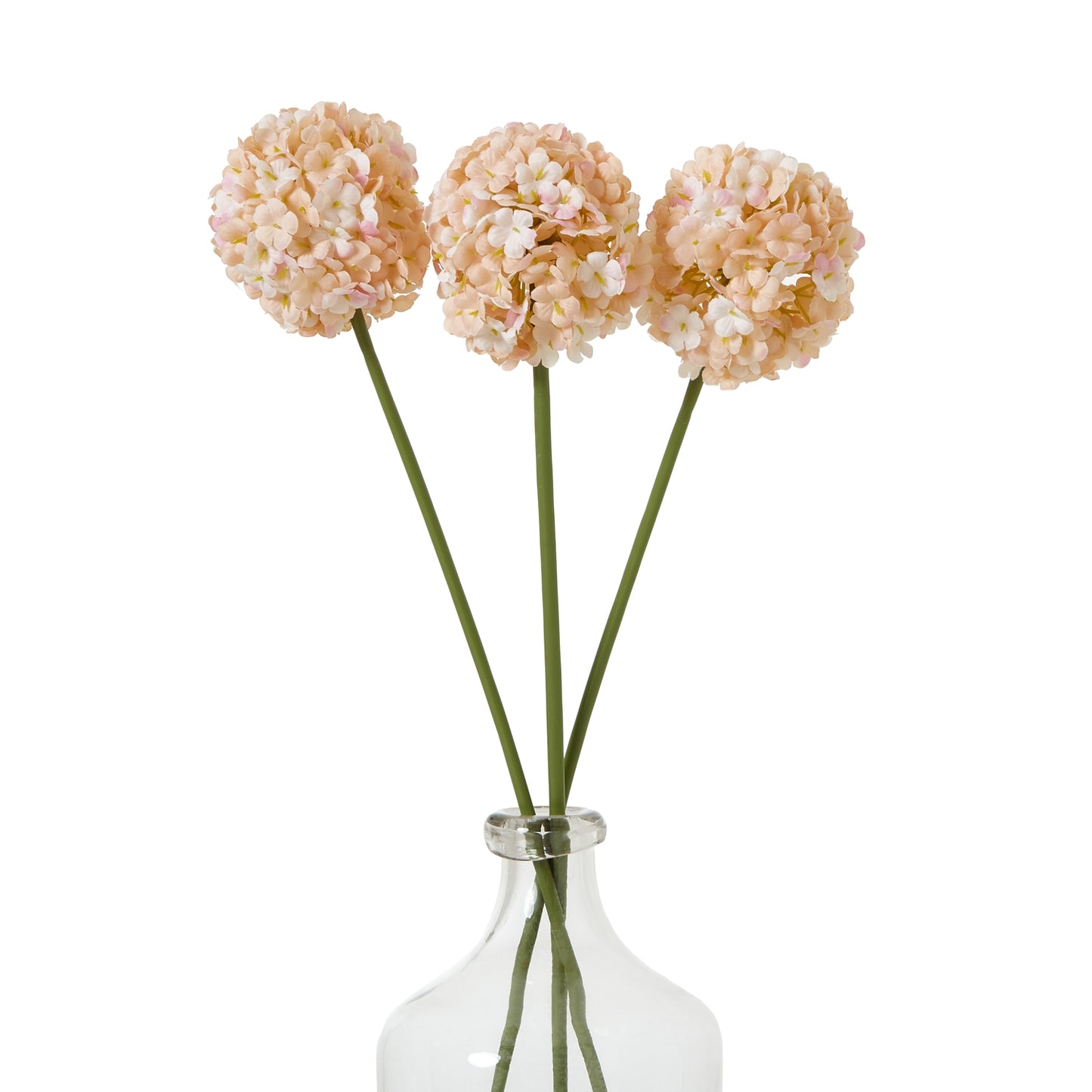 Three artificial Allium stems with soft apricot florets in a clear vase, showcasing a refined, elegant aesthetic.