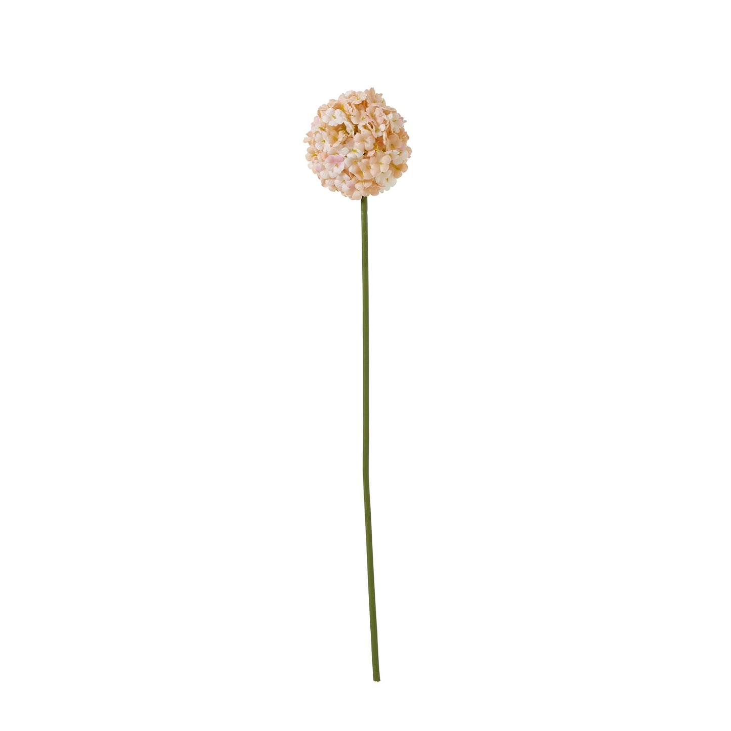 Sophisticated artificial white and apricot Allium flower on a long green stem, adding timeless elegance to any decor.