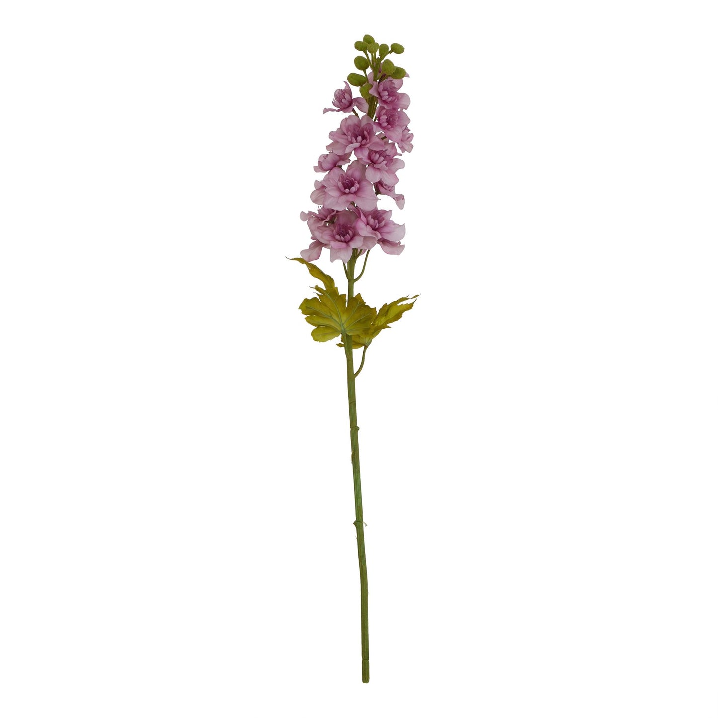 Tall, elegant purple delphinium stem with soft lavender florets and green leaves, perfect for versatile home decor.