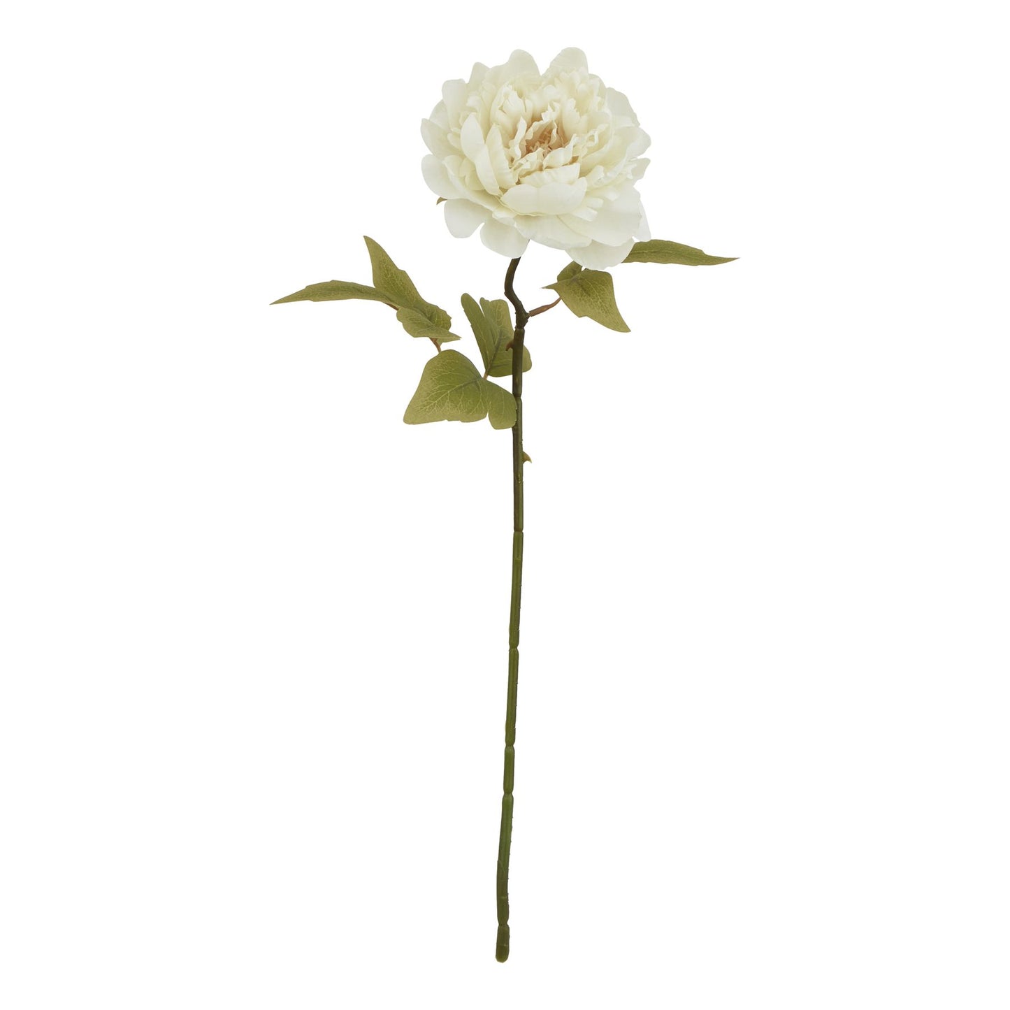 Realistic white peony with lush layered petals and green leaves on a sturdy stem, ideal for elegant home decor.