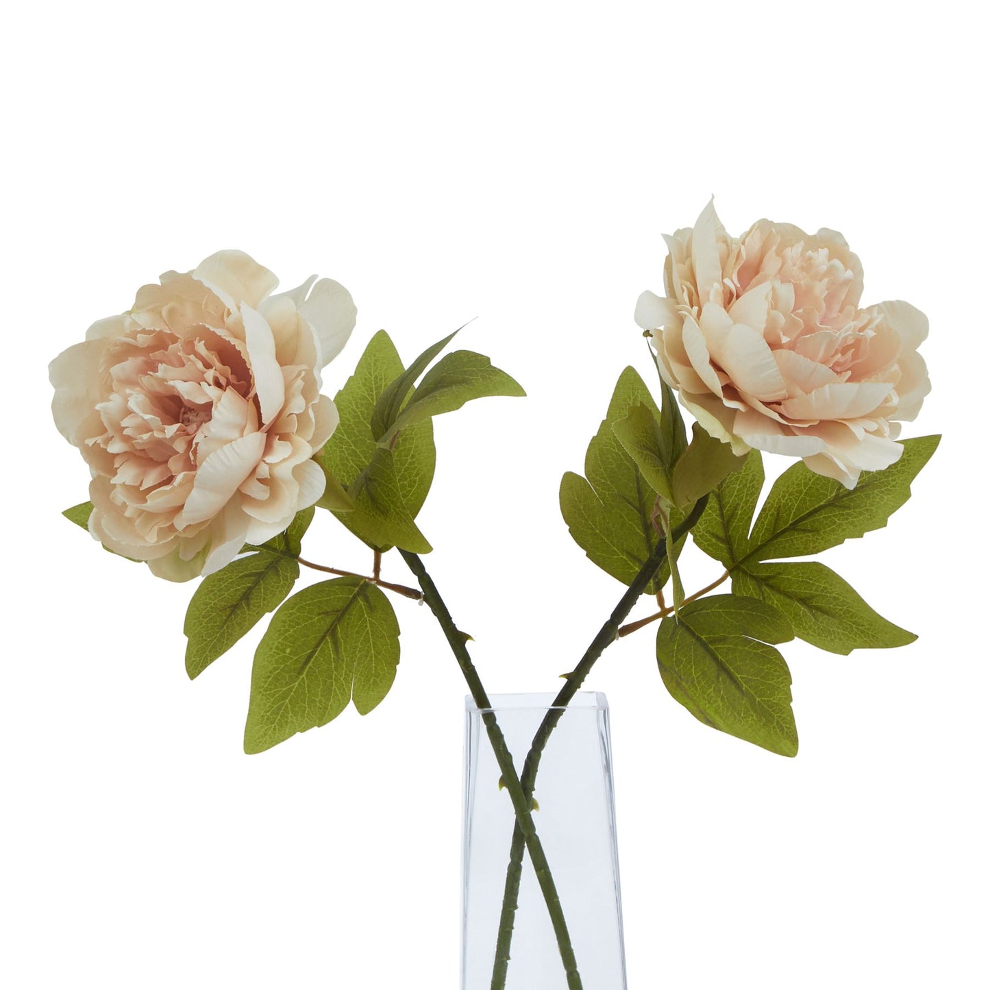 Blush peony stem with lifelike petals and lush green leaves in a clear vase, perfect for elegant home decor.