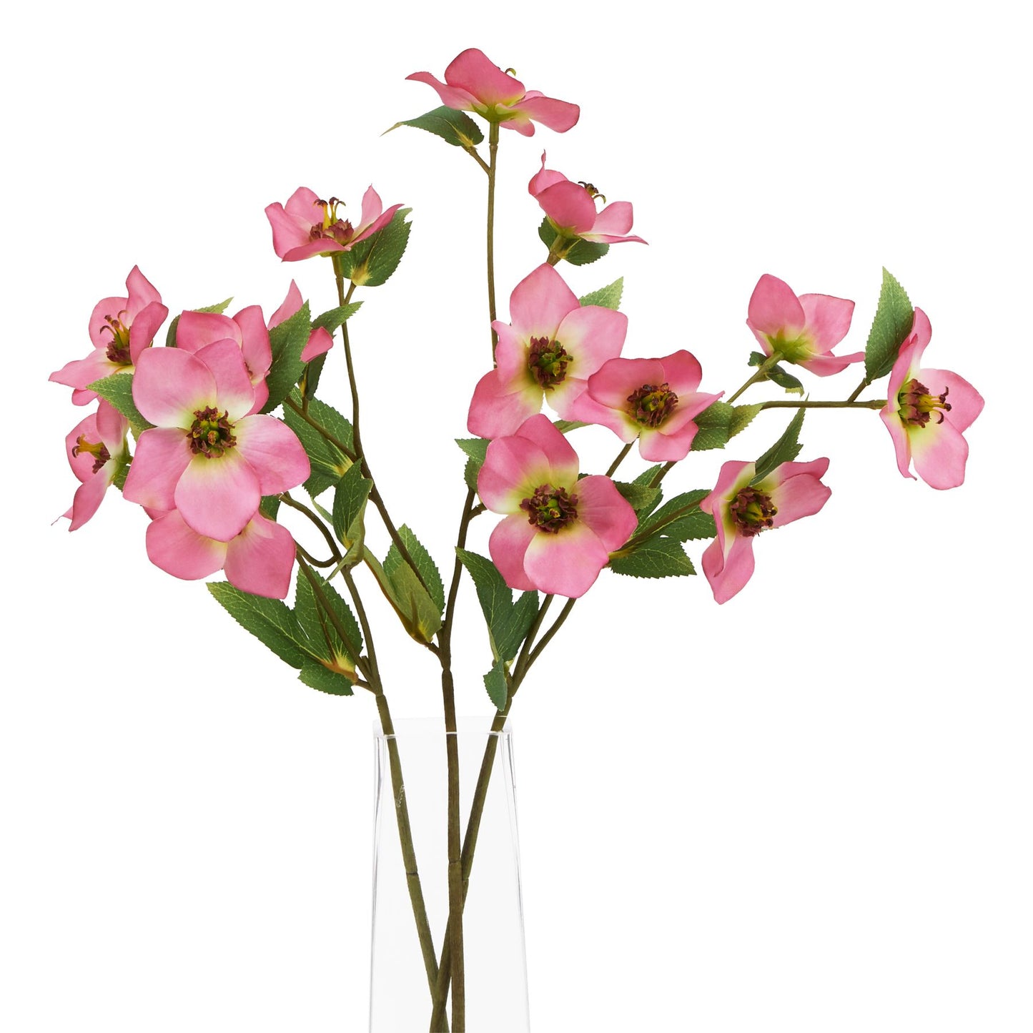 Delicate pink variegated hellebore stems featuring realistic petals and green leaves, arranged in a clear vase.