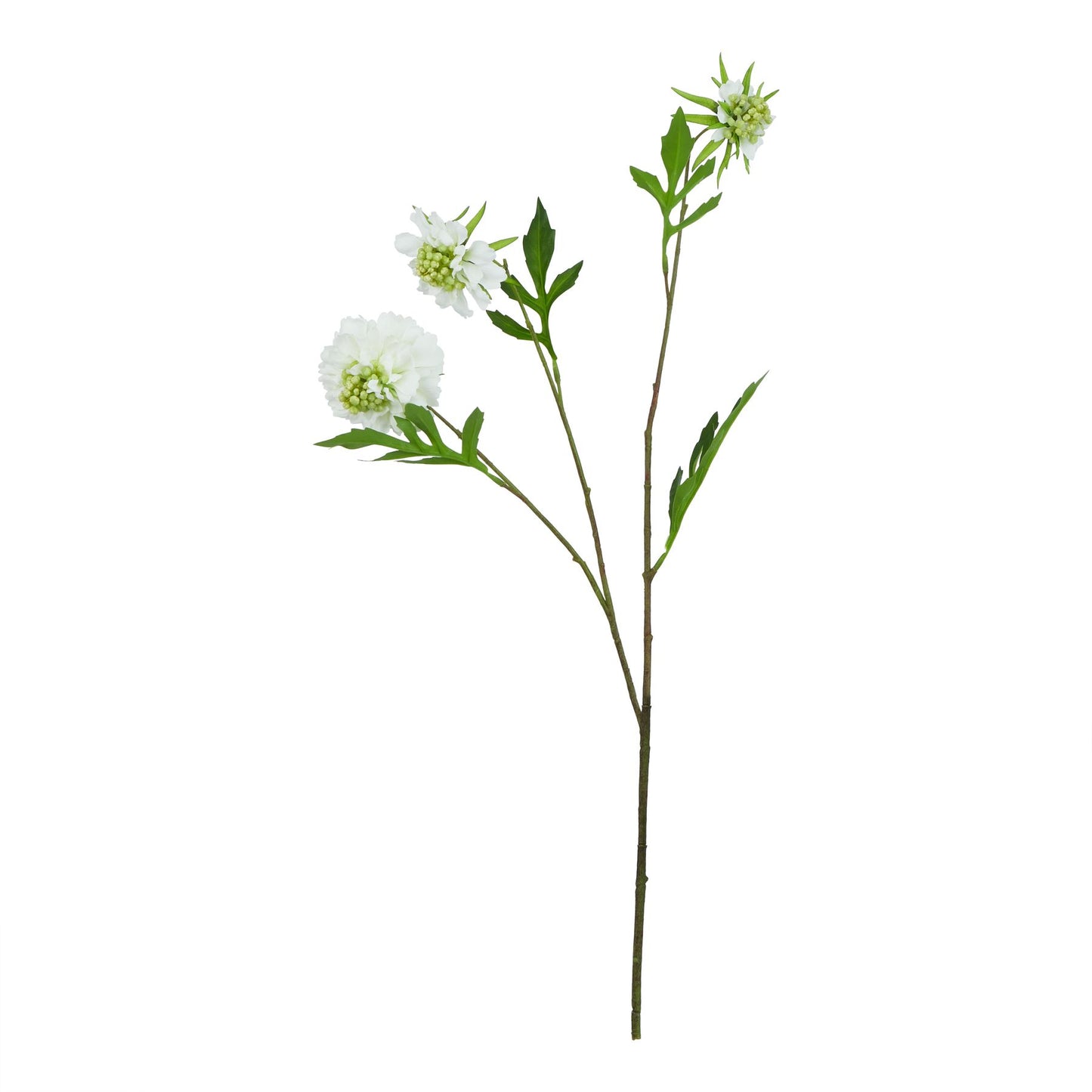 Realistic white scabious stem with delicate petals and green foliage, ideal for elegant floral arrangements and minimalist decor.