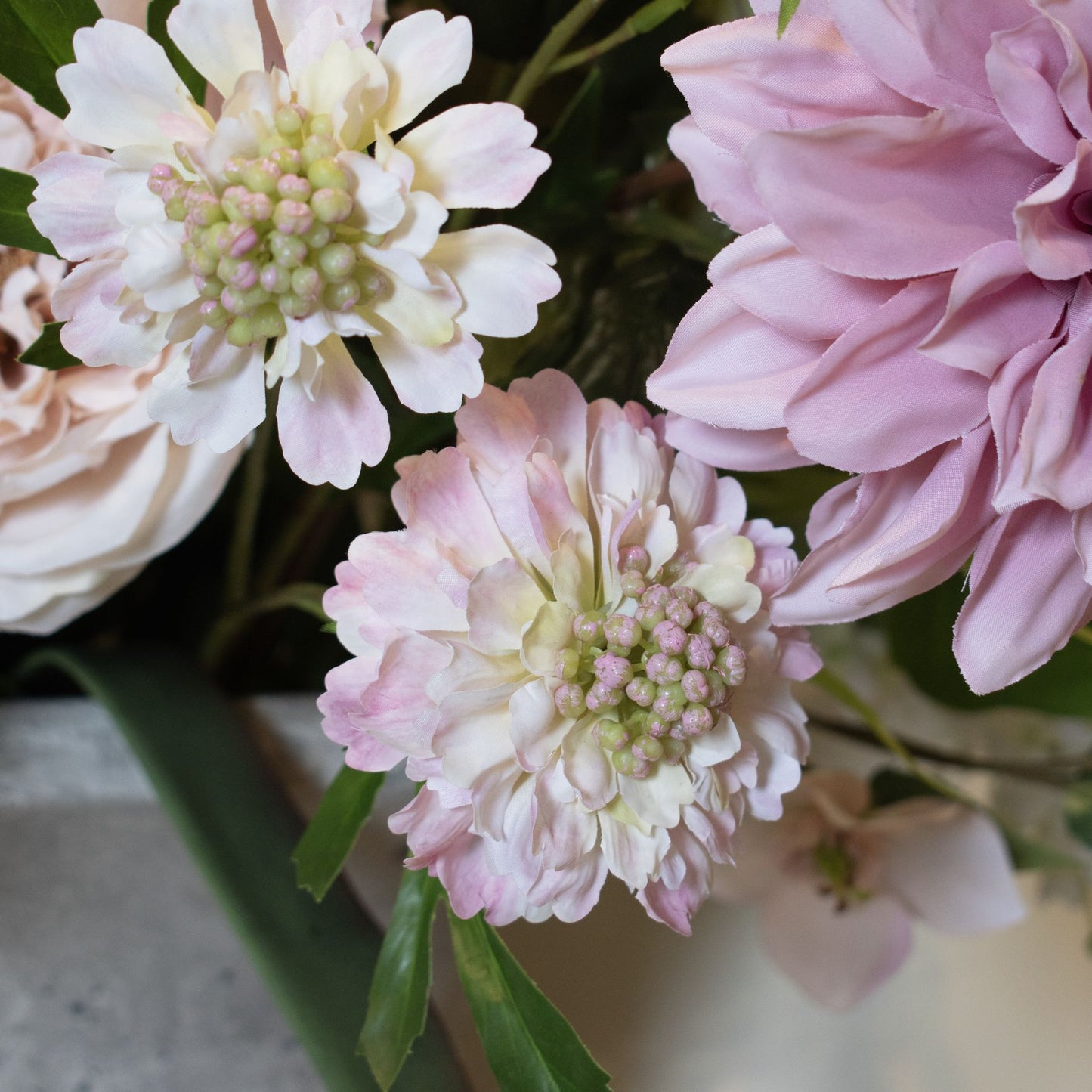 Pale pink scabious stem with realistic petals and green leaves, perfect for elegant floral arrangements in any decor.