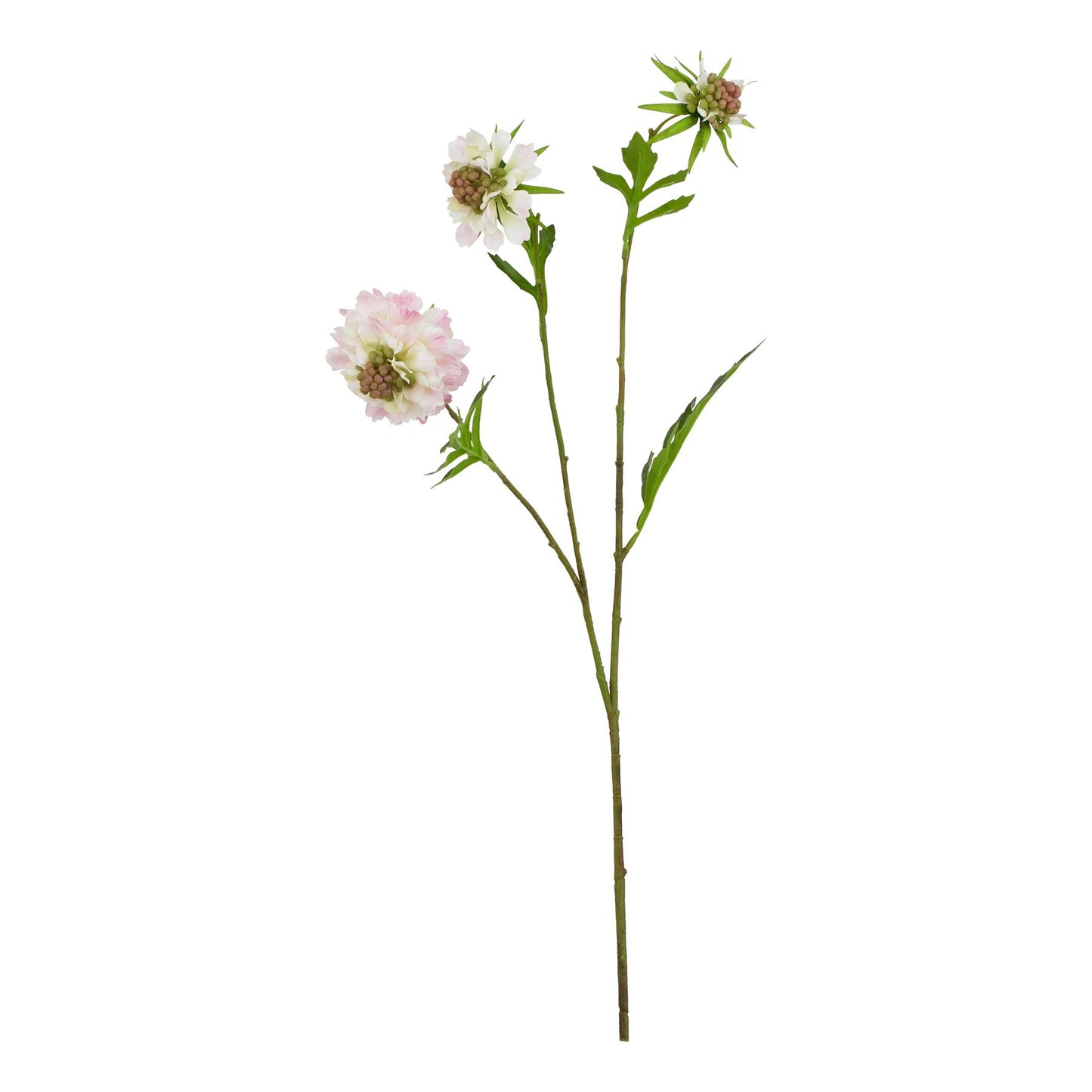 Pale pink scabious stem featuring lifelike petals and green leaves, perfect for elegant floral arrangements in any interior.