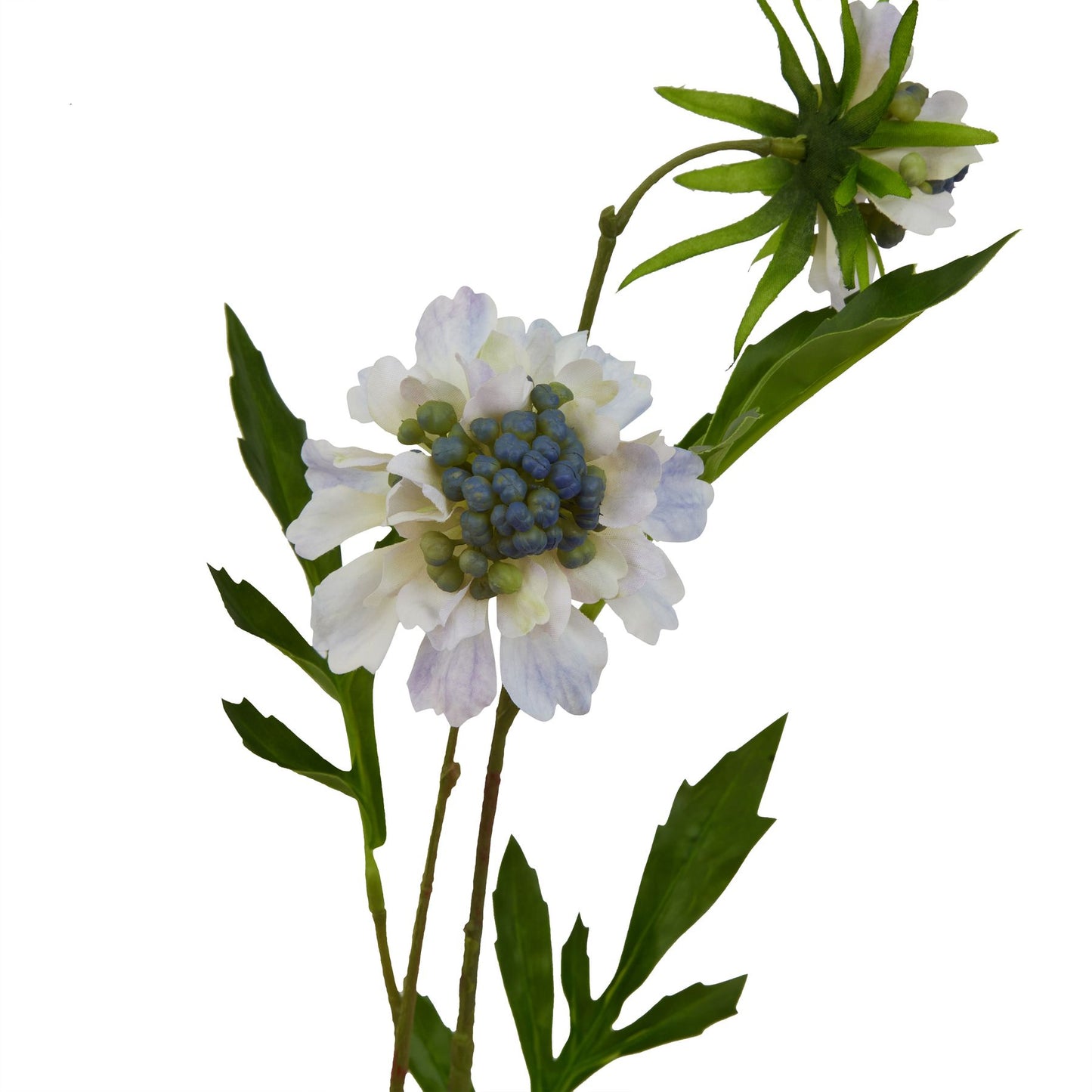 Lifelike pale blue scabious stem featuring intricate petals, green accents, and lush leaves for elegant decor.