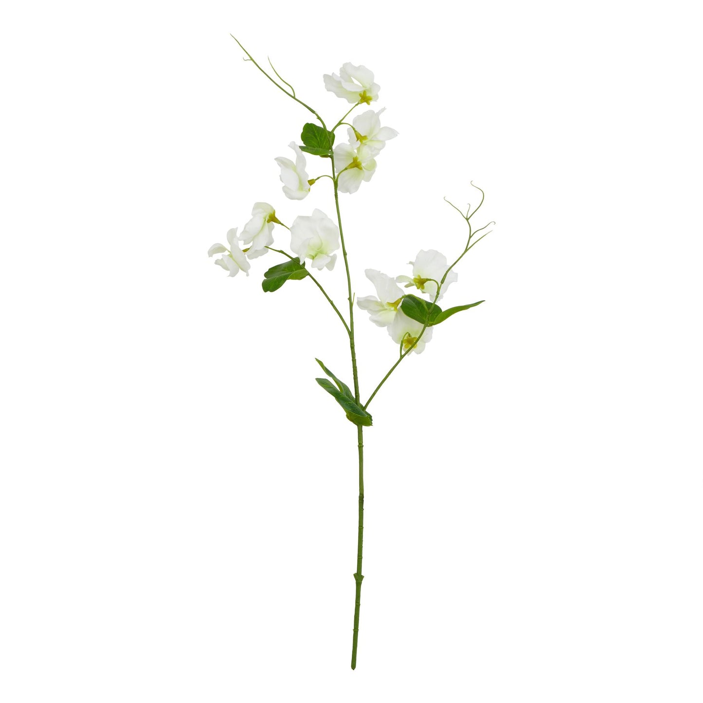 Delicate white sweetpea stem with realistic blooms and flexible green stem; ideal for elegant floral arrangements.