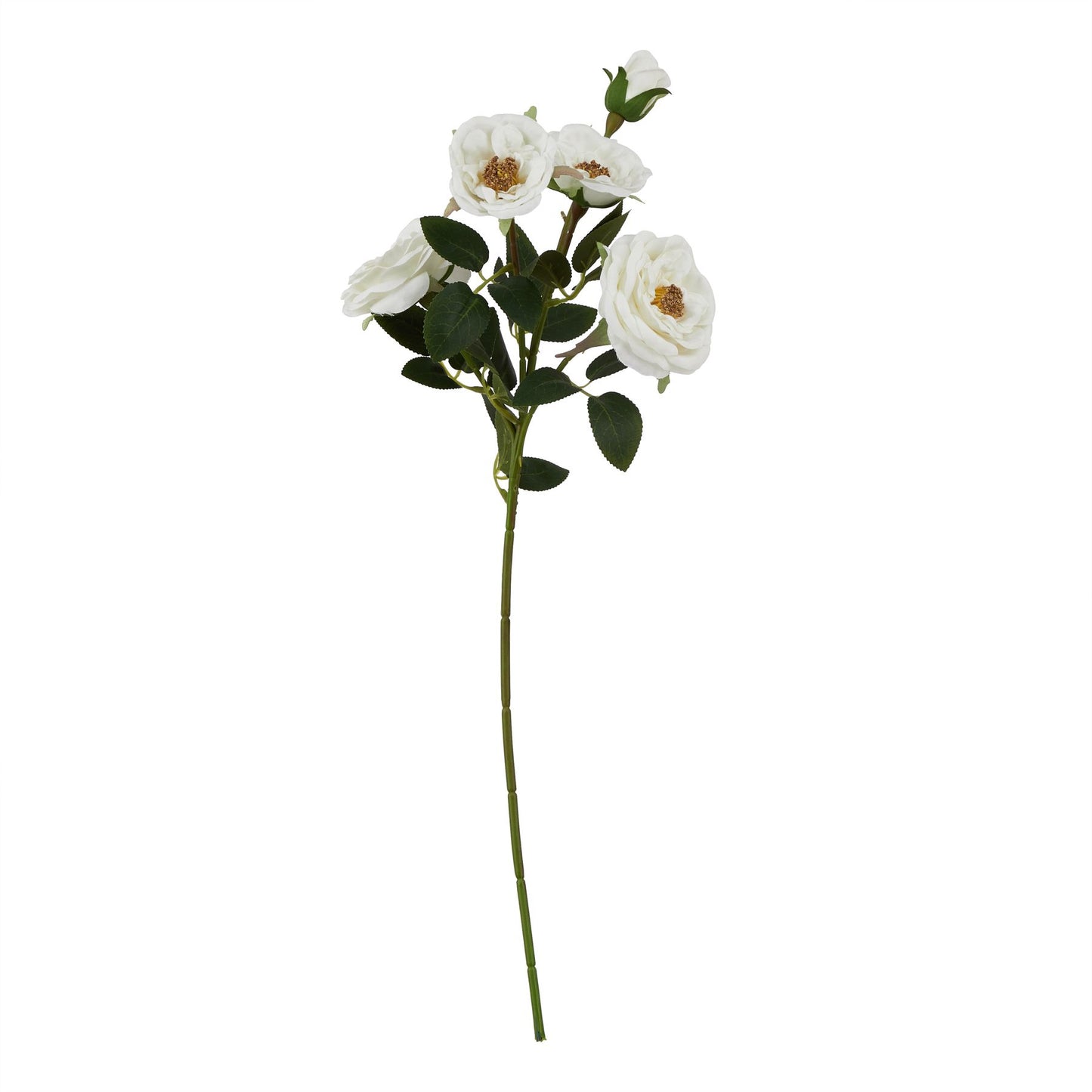 White hedge rose stem featuring lifelike petals and foliage, elegantly supported by a slender green stem. Perfect for any decor.