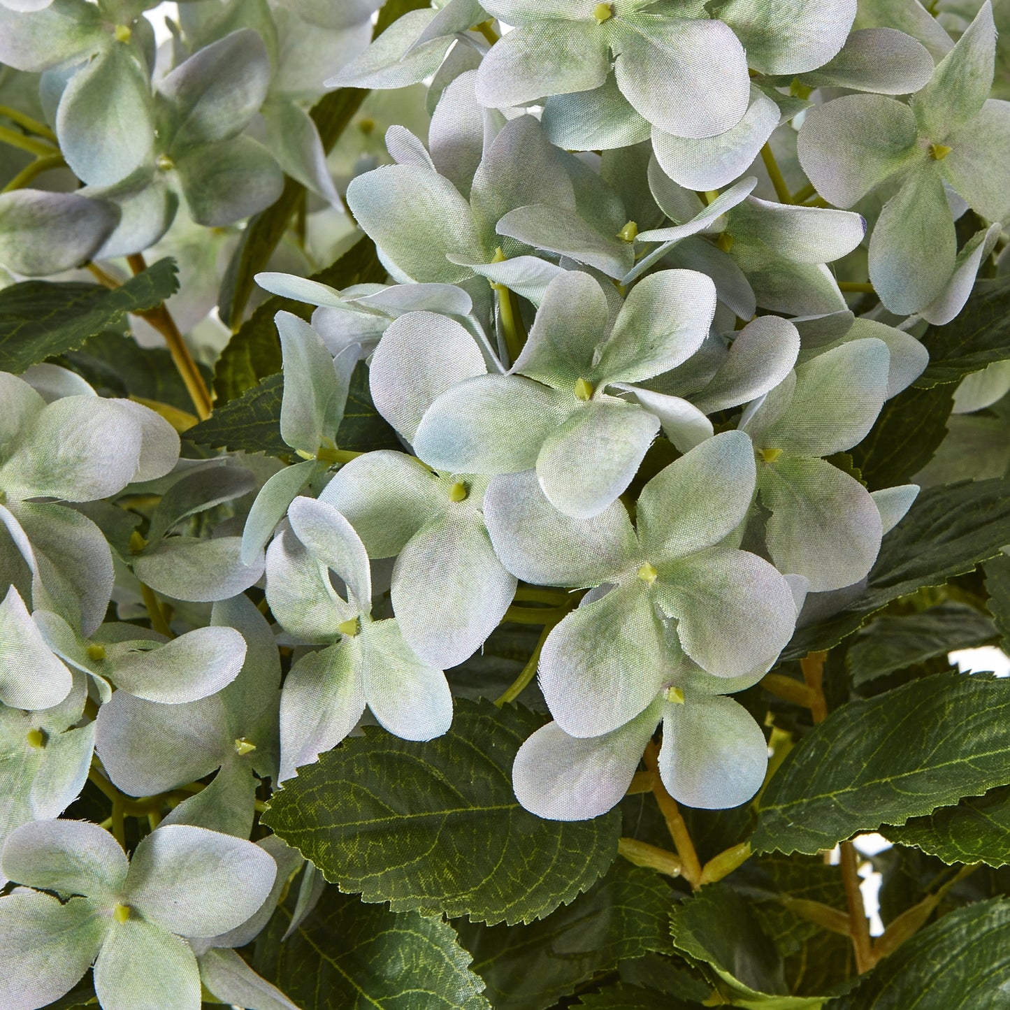 Medium Green Hydrangea Plant In Pot - All Artificial Flowers from the Quanta Home collection.