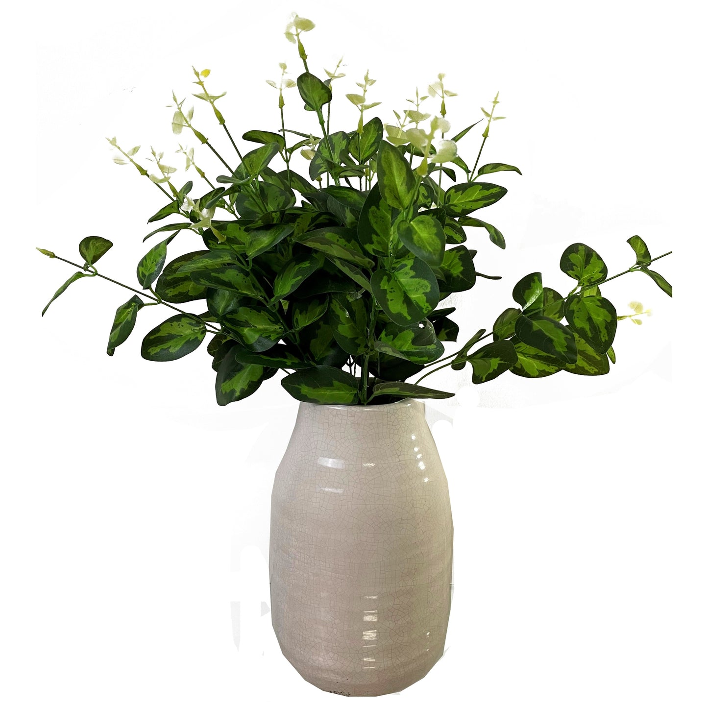 Variegated green leaves in a textured cream vase, perfect for enhancing floral arrangements and home decor.