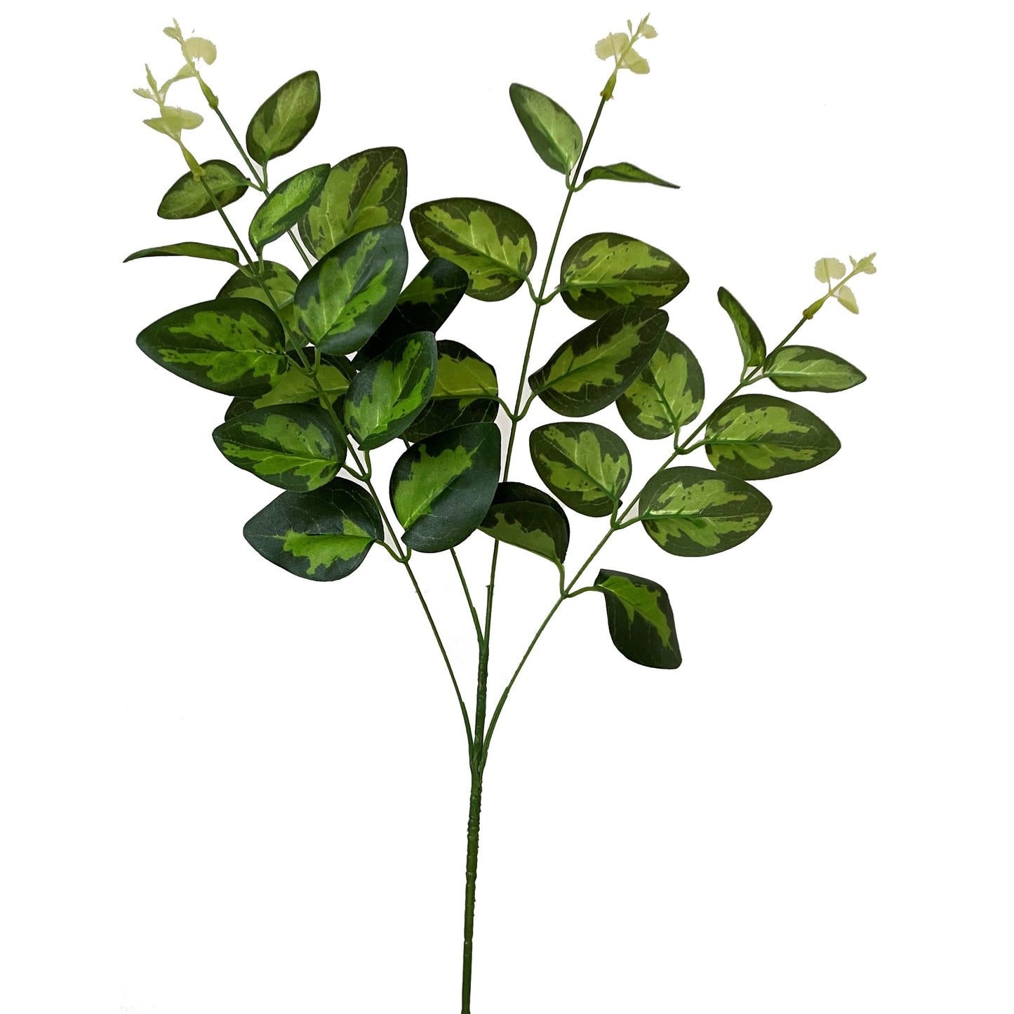 Lush green variegated leaves with natural variations in color and texture, ideal for elegant floral arrangements.