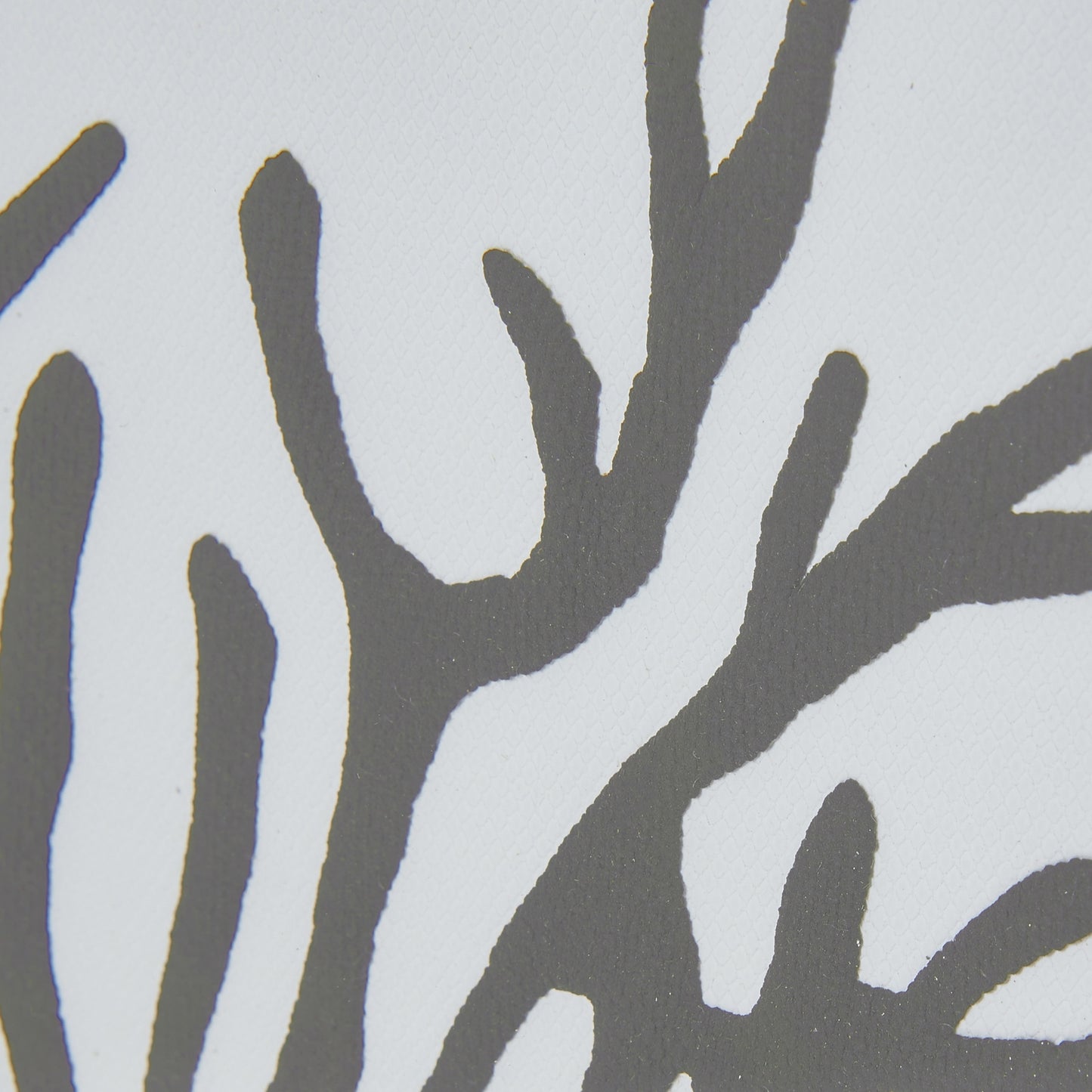 Reef Coral Art Mounted In Beaded Frame - Printed Art from the Quanta Home collection.
