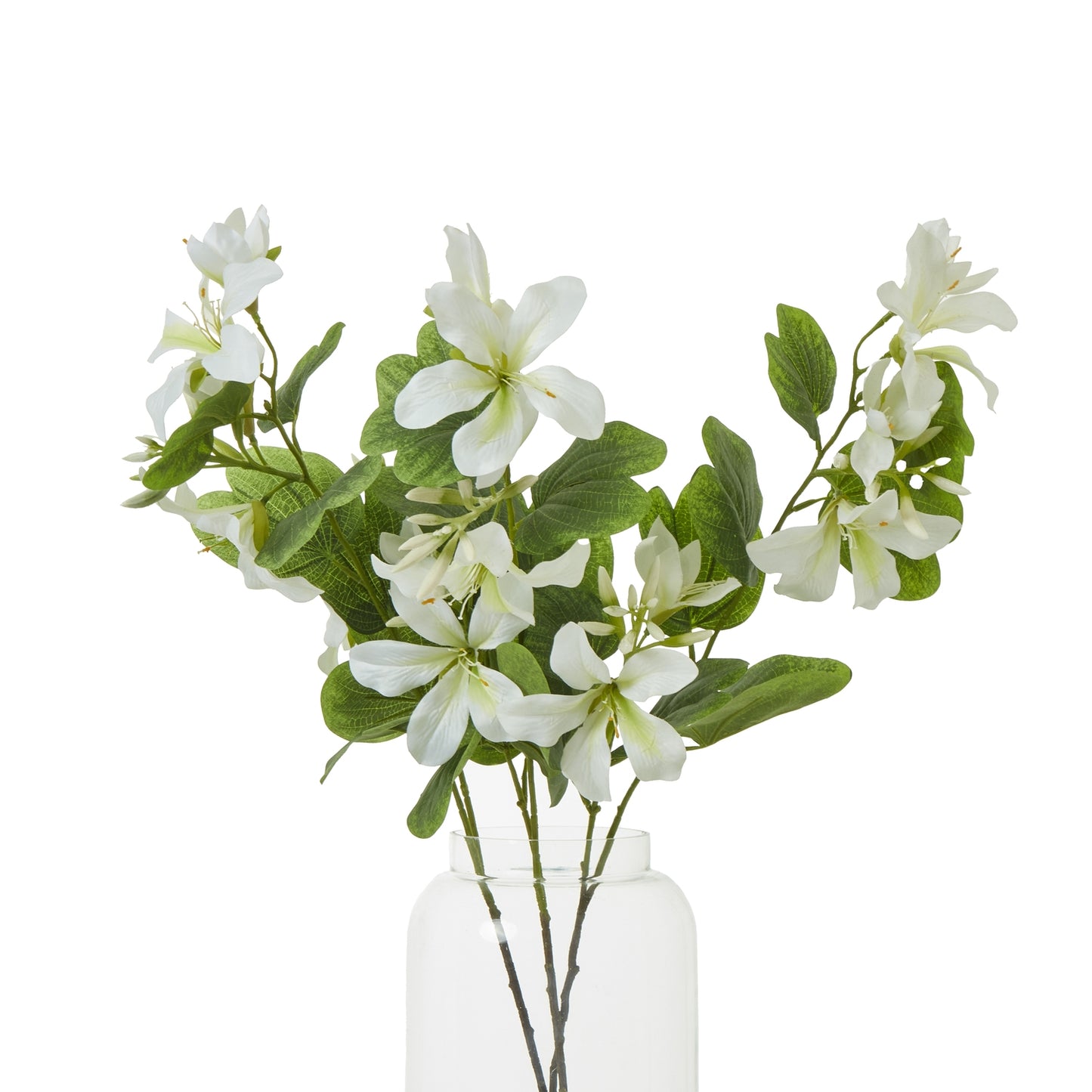 Cream Bauhinia Orchid Spray - Single Stem Flowers from the Quanta Home collection.