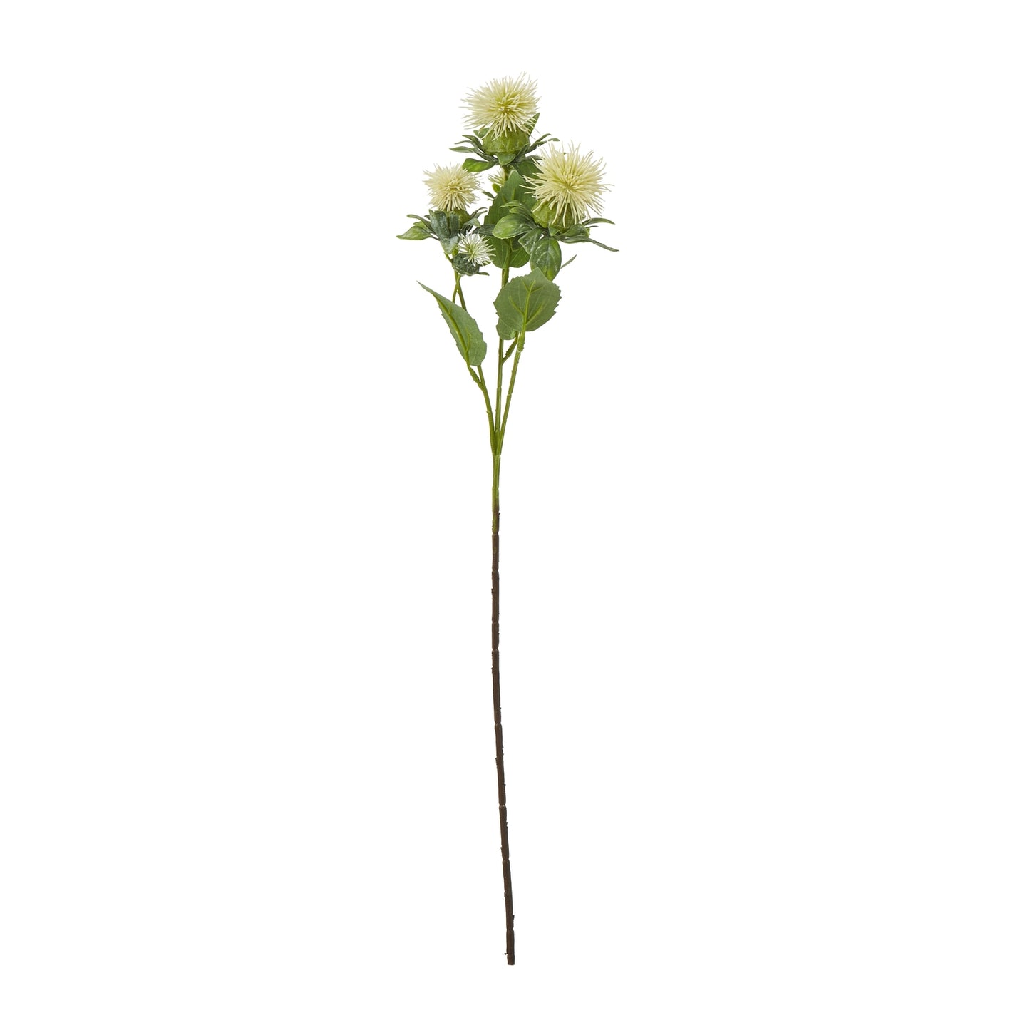 Cream safflower spray features realistic, soft cream petals and green foliage, enhancing any decor with effortless elegance.