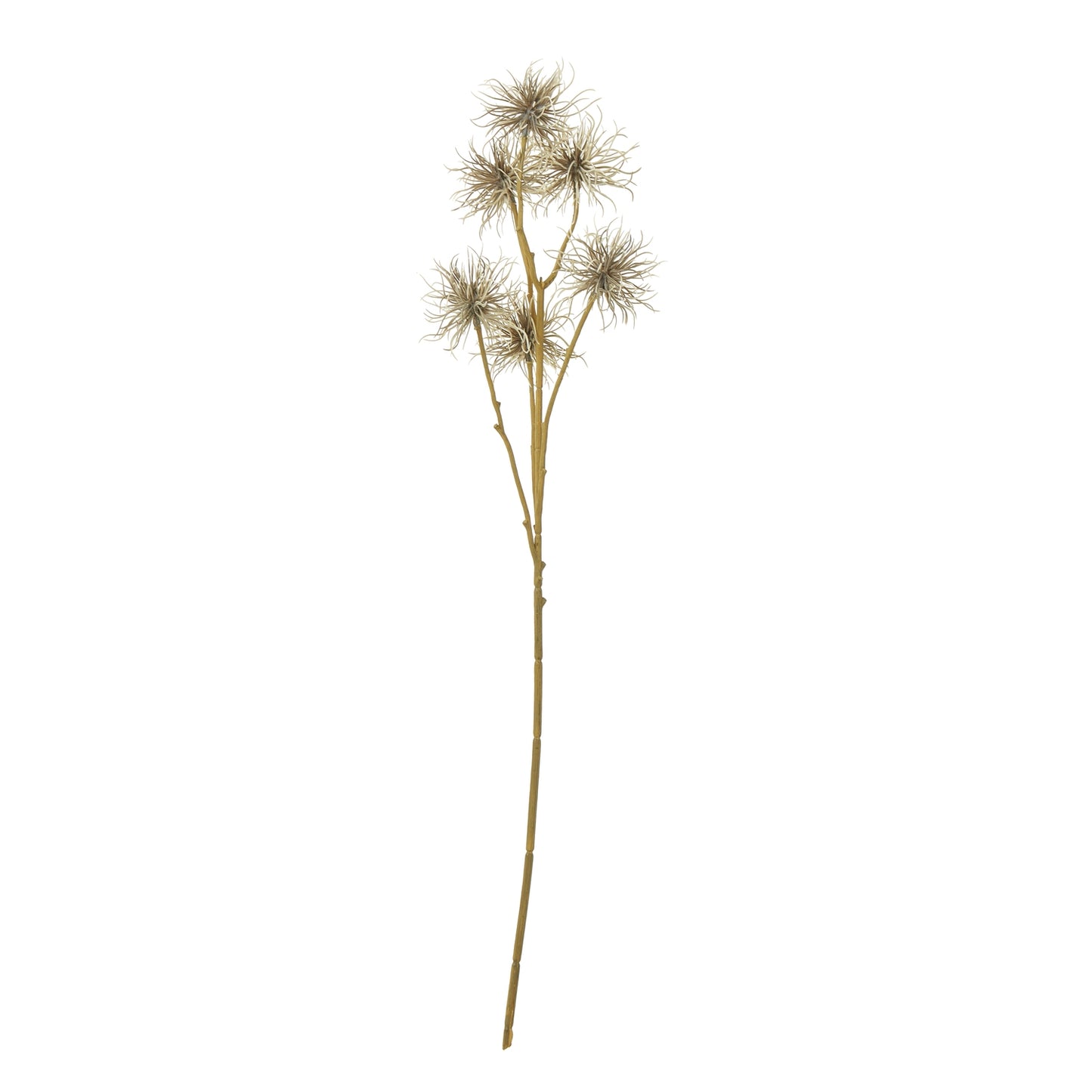 Brown Xanthium Spray featuring wispy blooms on a tall stem, adding textured elegance ideal for rustic or minimalist decor.